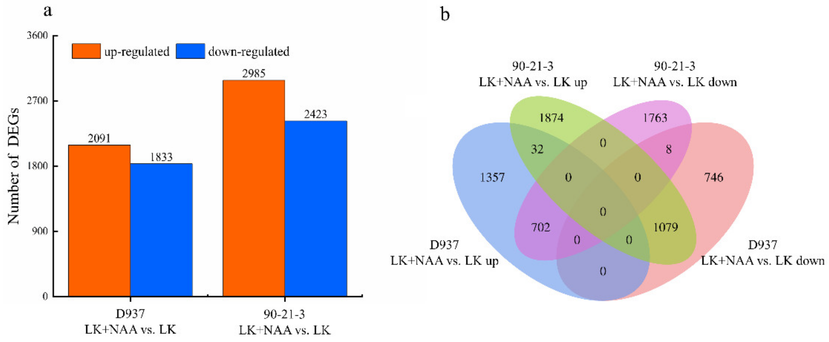 Agronomy 12 01318 g003