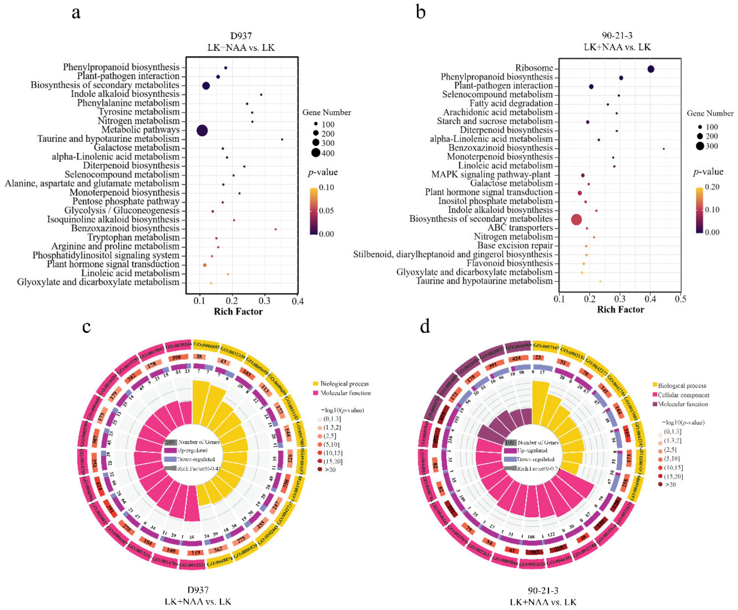 Agronomy 12 01318 g004