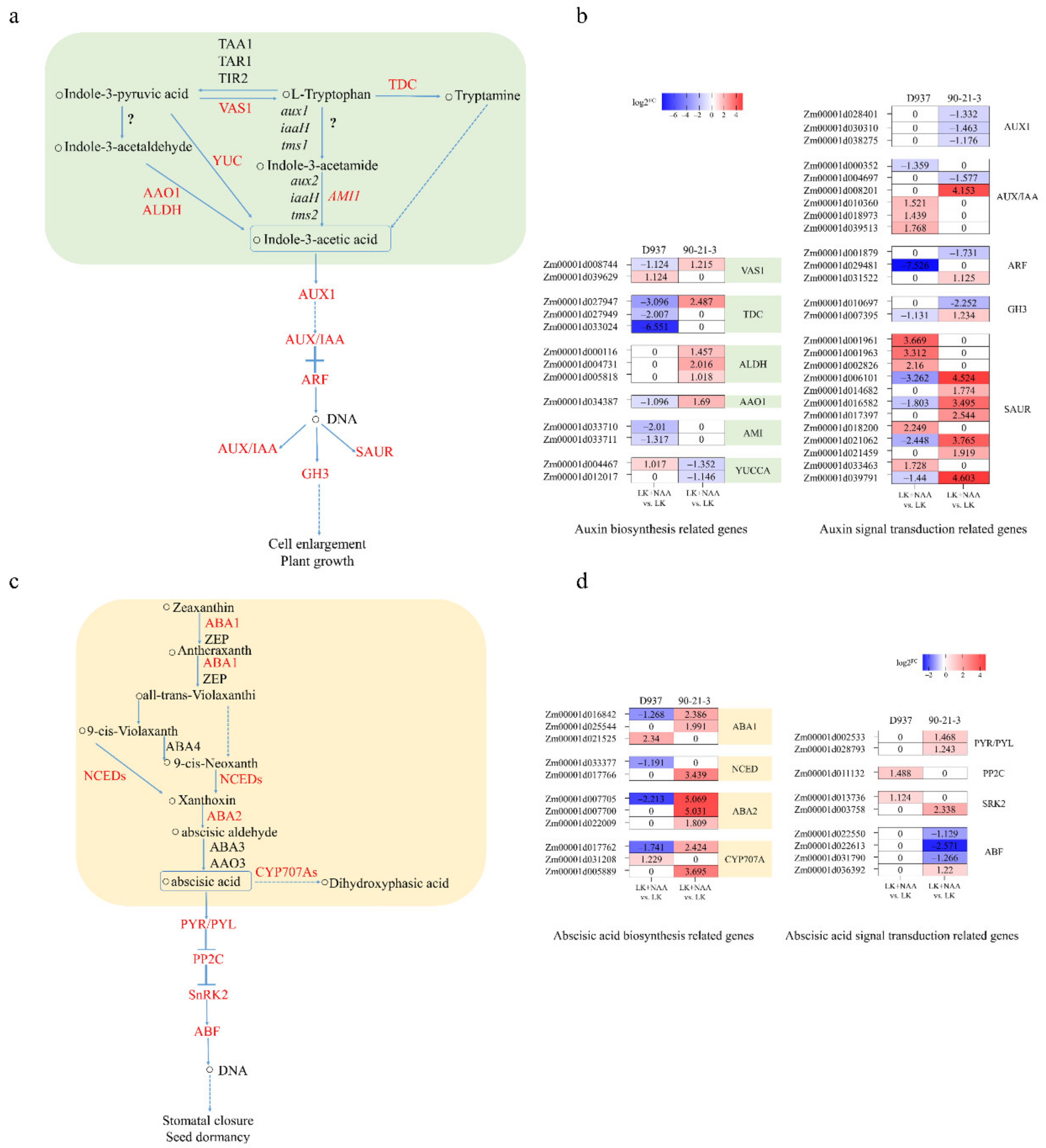 Agronomy 12 01318 g005