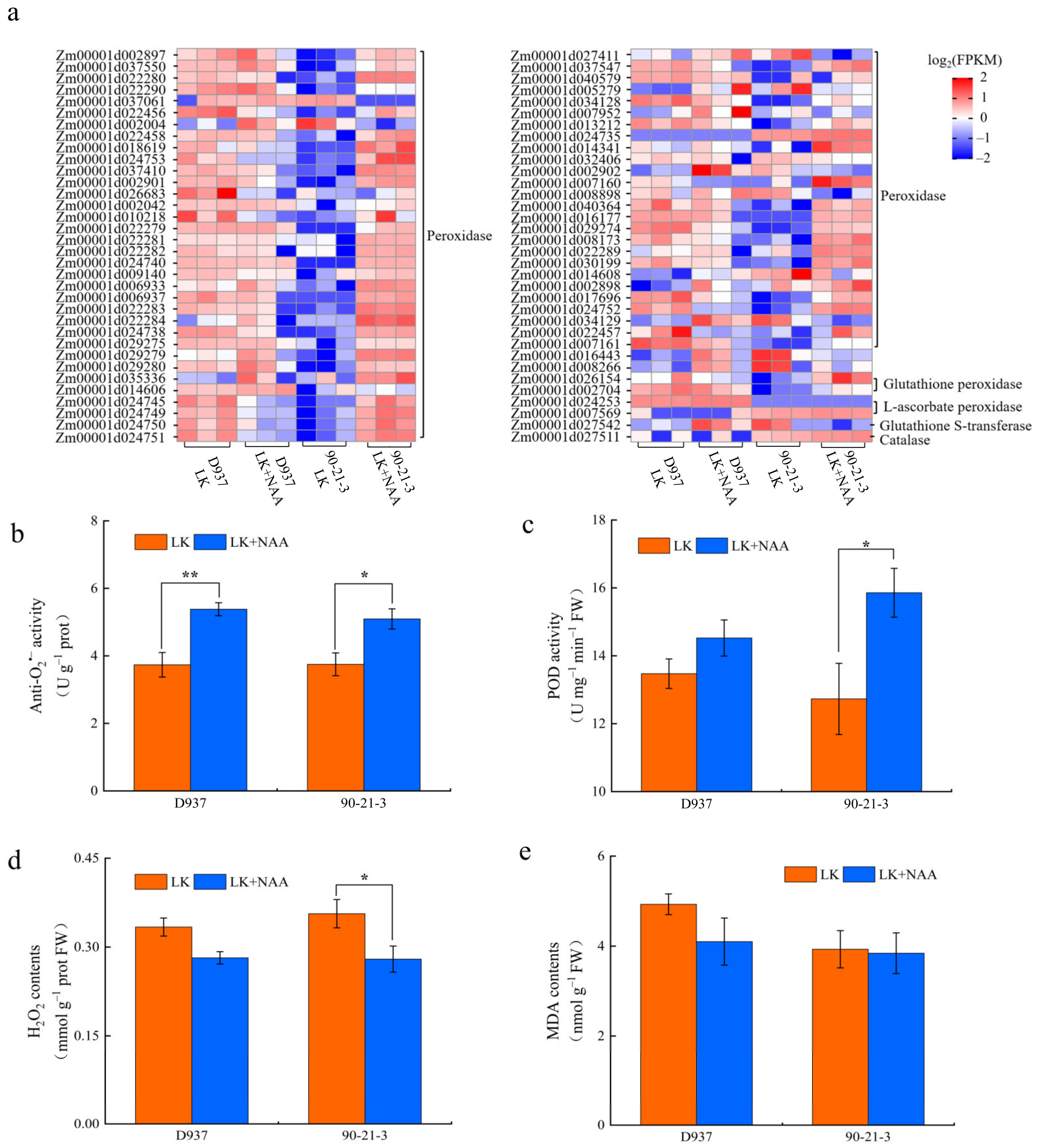 Agronomy 12 01318 g007