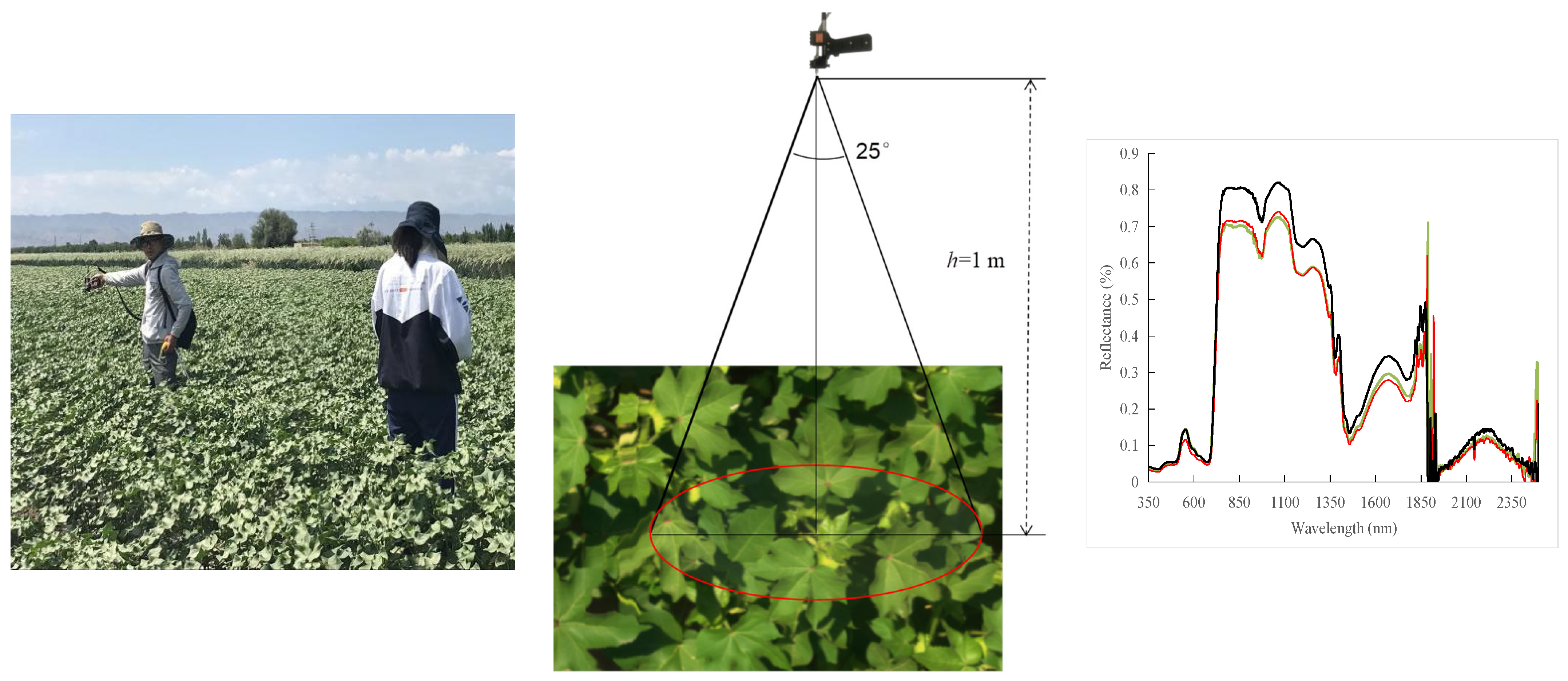 Agronomy 12 01319 g003