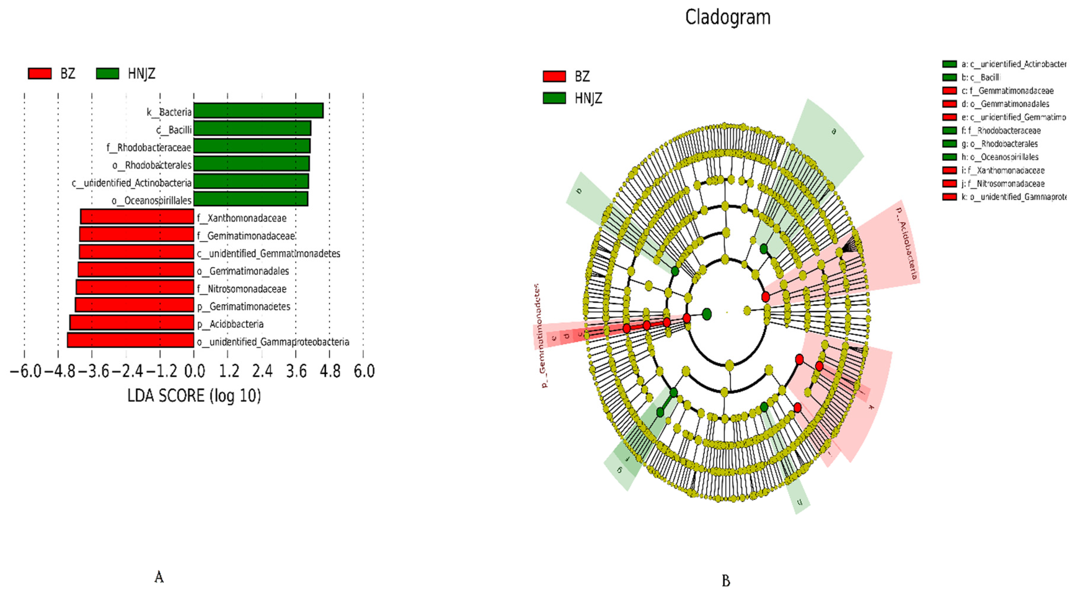 Agronomy 12 01322 g003