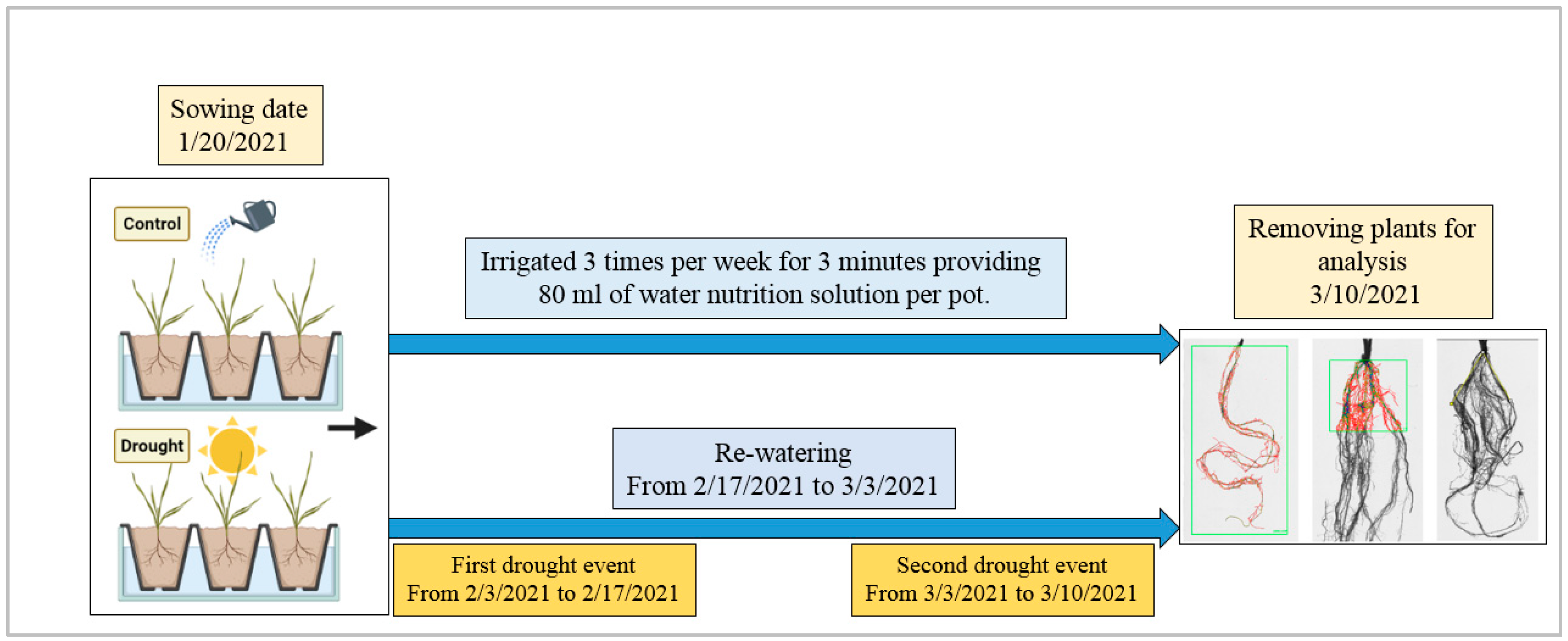 Agronomy 12 01329 g001