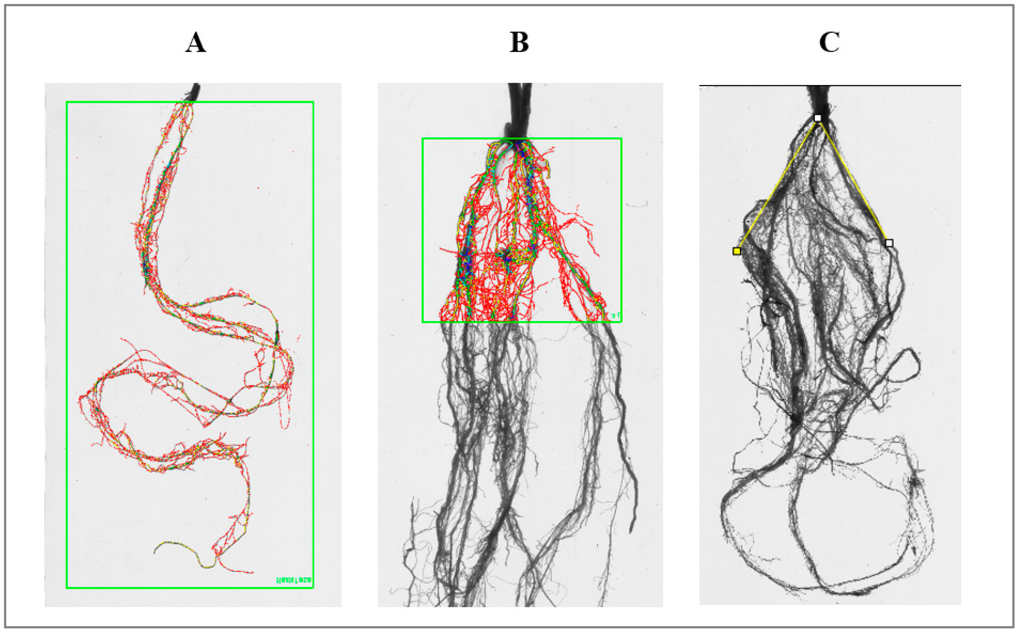Agronomy 12 01329 g003
