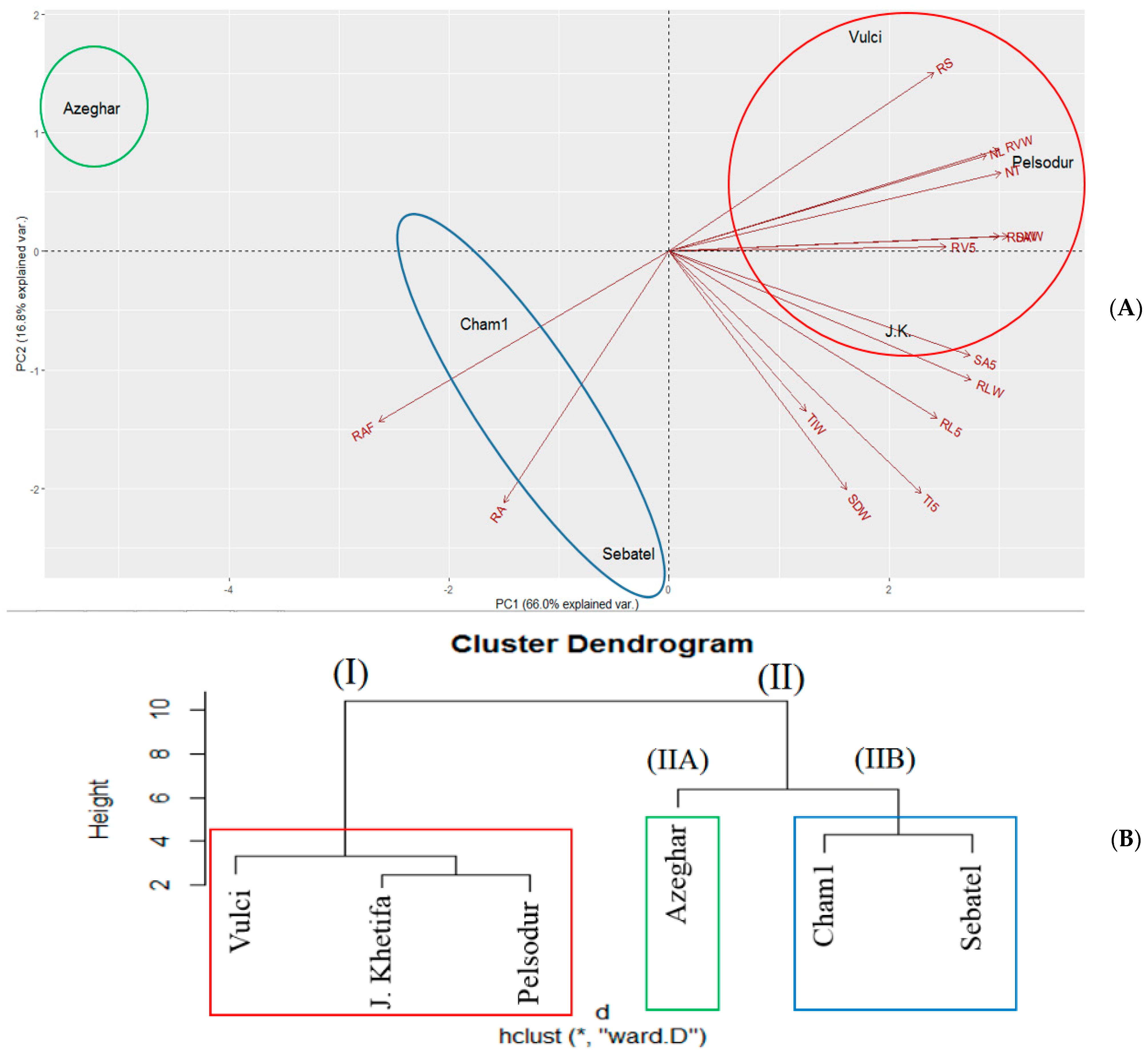 Agronomy 12 01329 g008