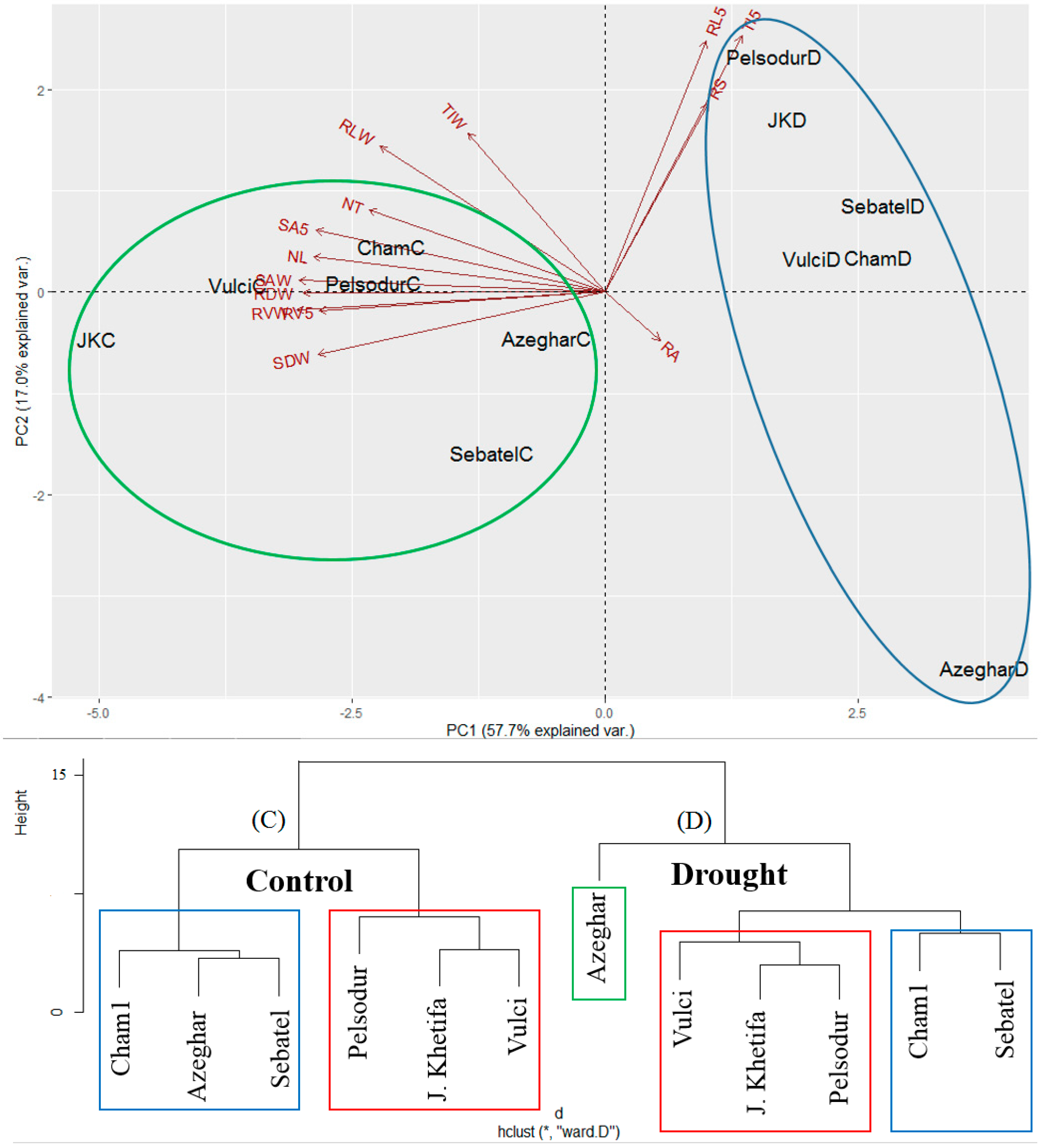 Agronomy 12 01329 g009