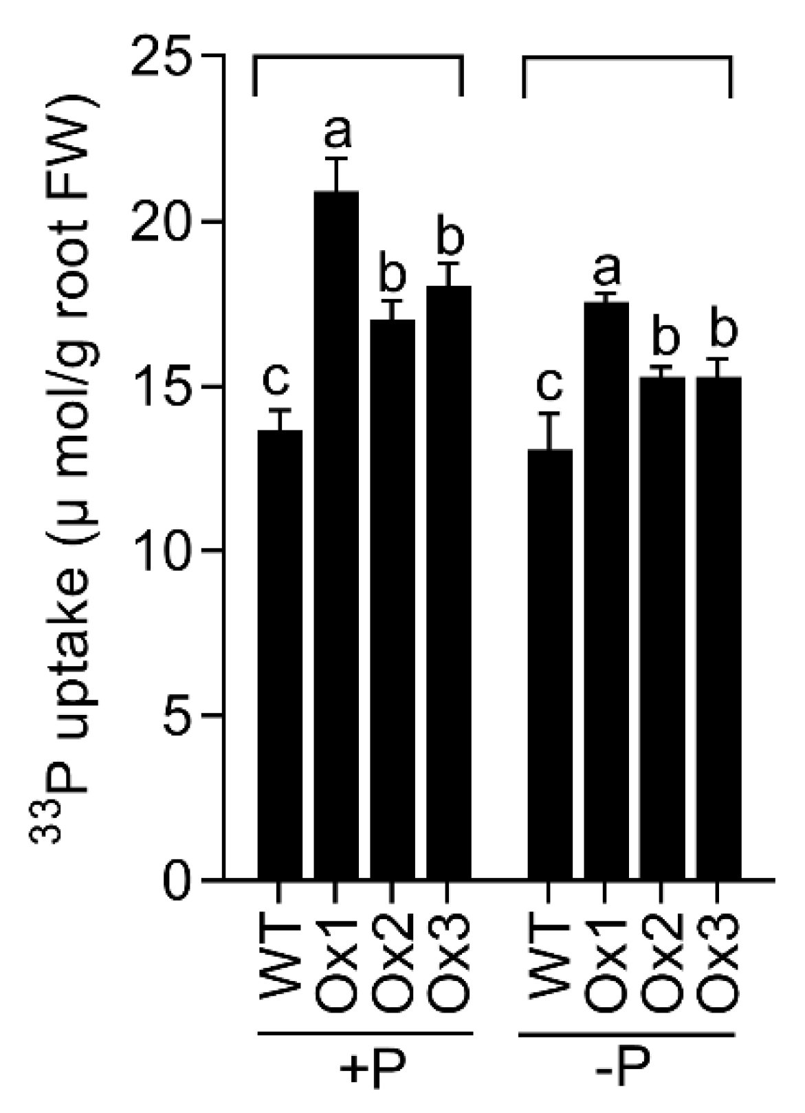 Agronomy 12 01332 g004