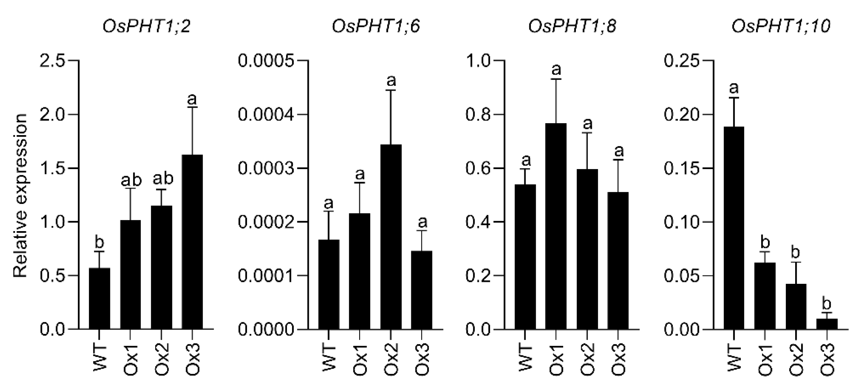 Agronomy 12 01332 g005