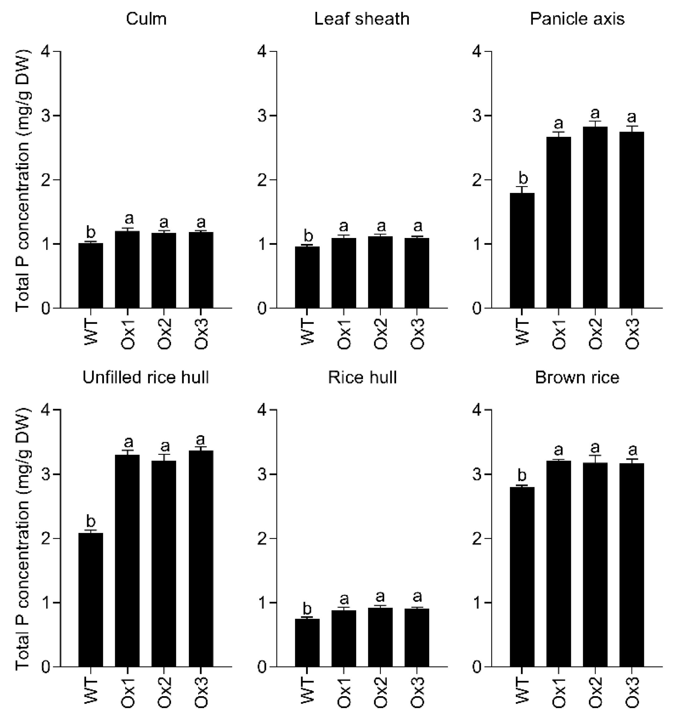 Agronomy 12 01332 g006