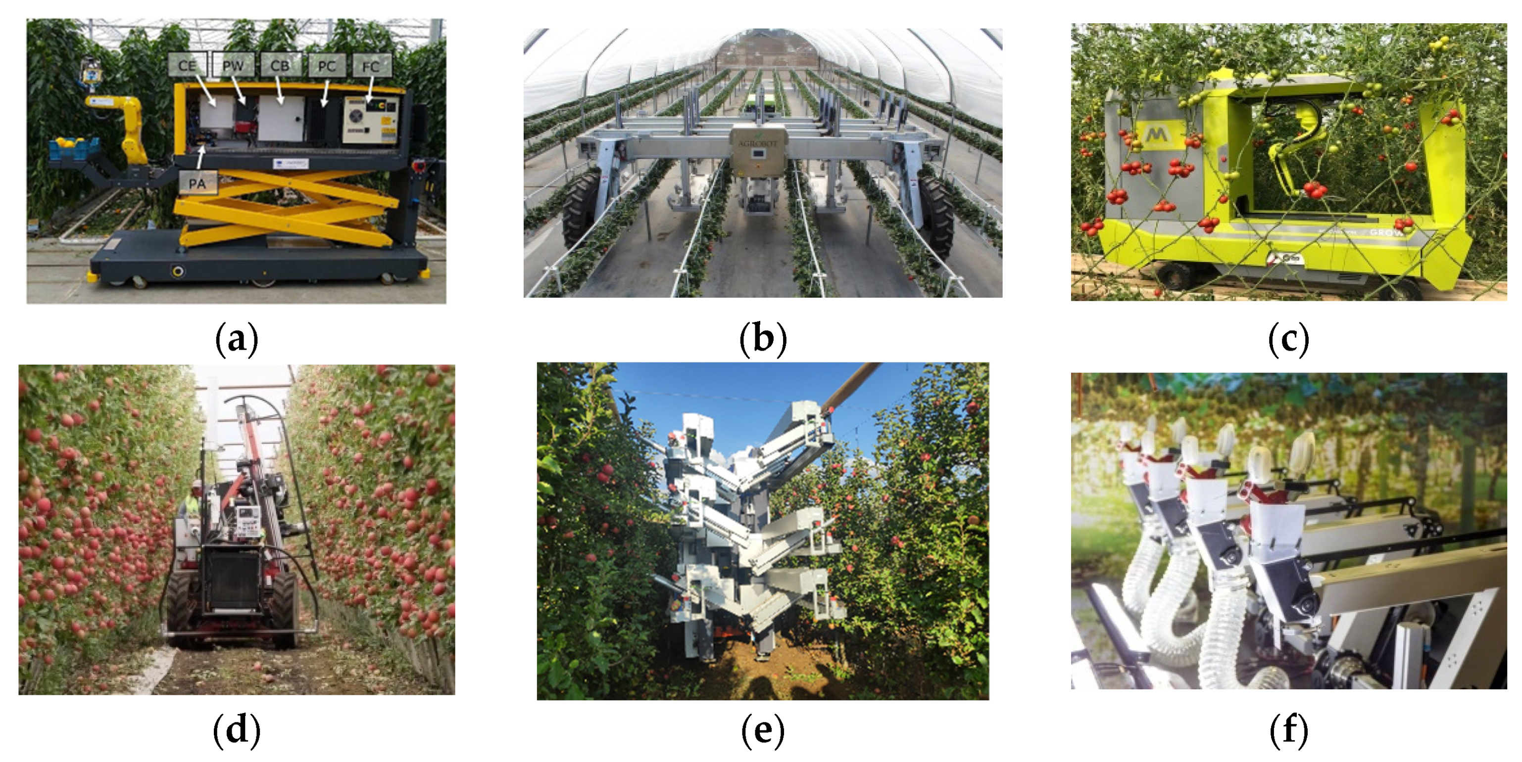 Agronomy 12 01336 g001