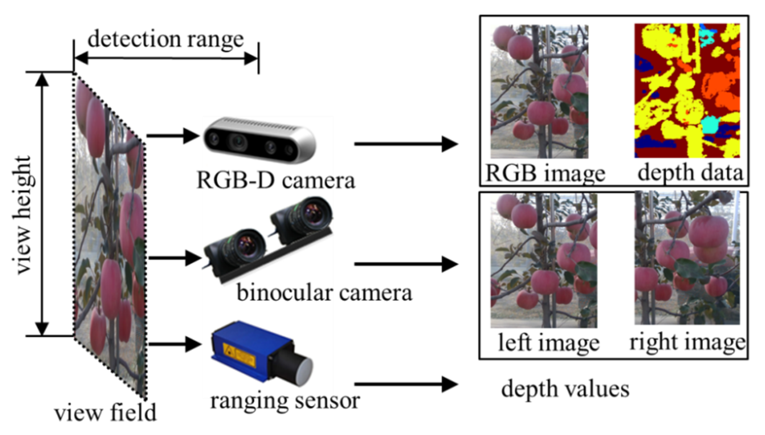 Agronomy 12 01336 g002