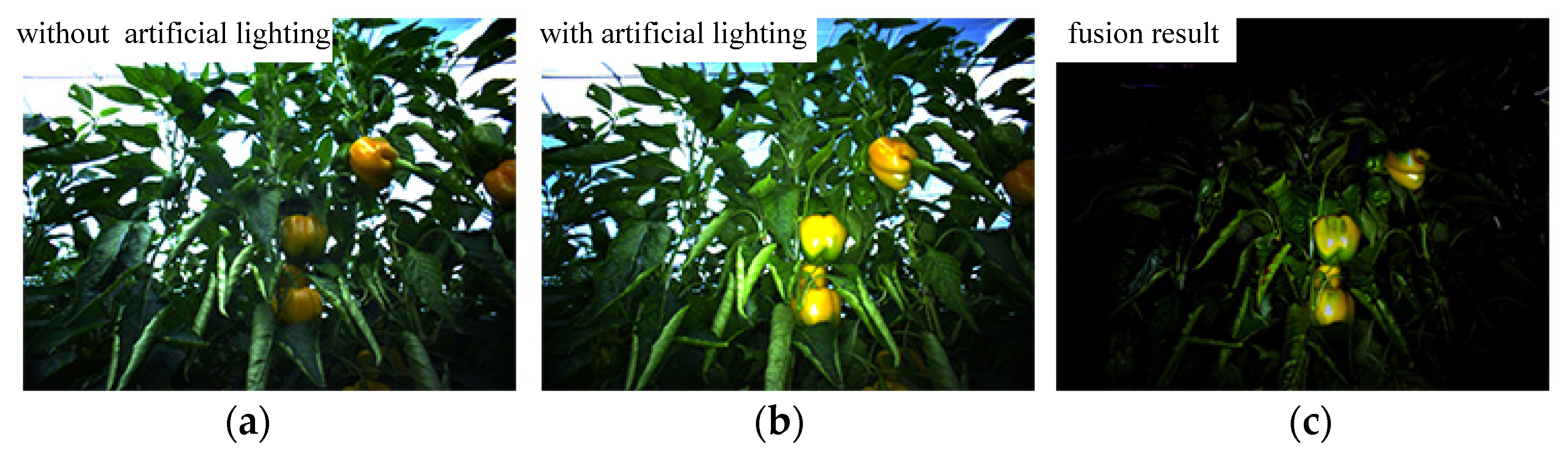 Agronomy 12 01336 g003