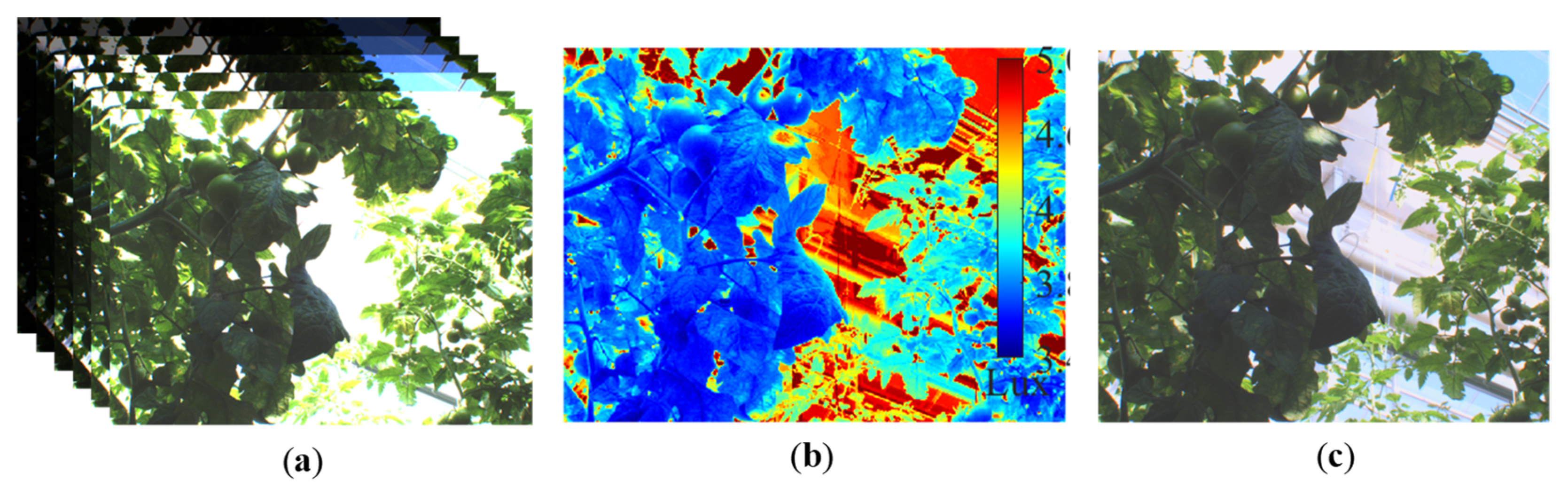 Agronomy 12 01336 g004