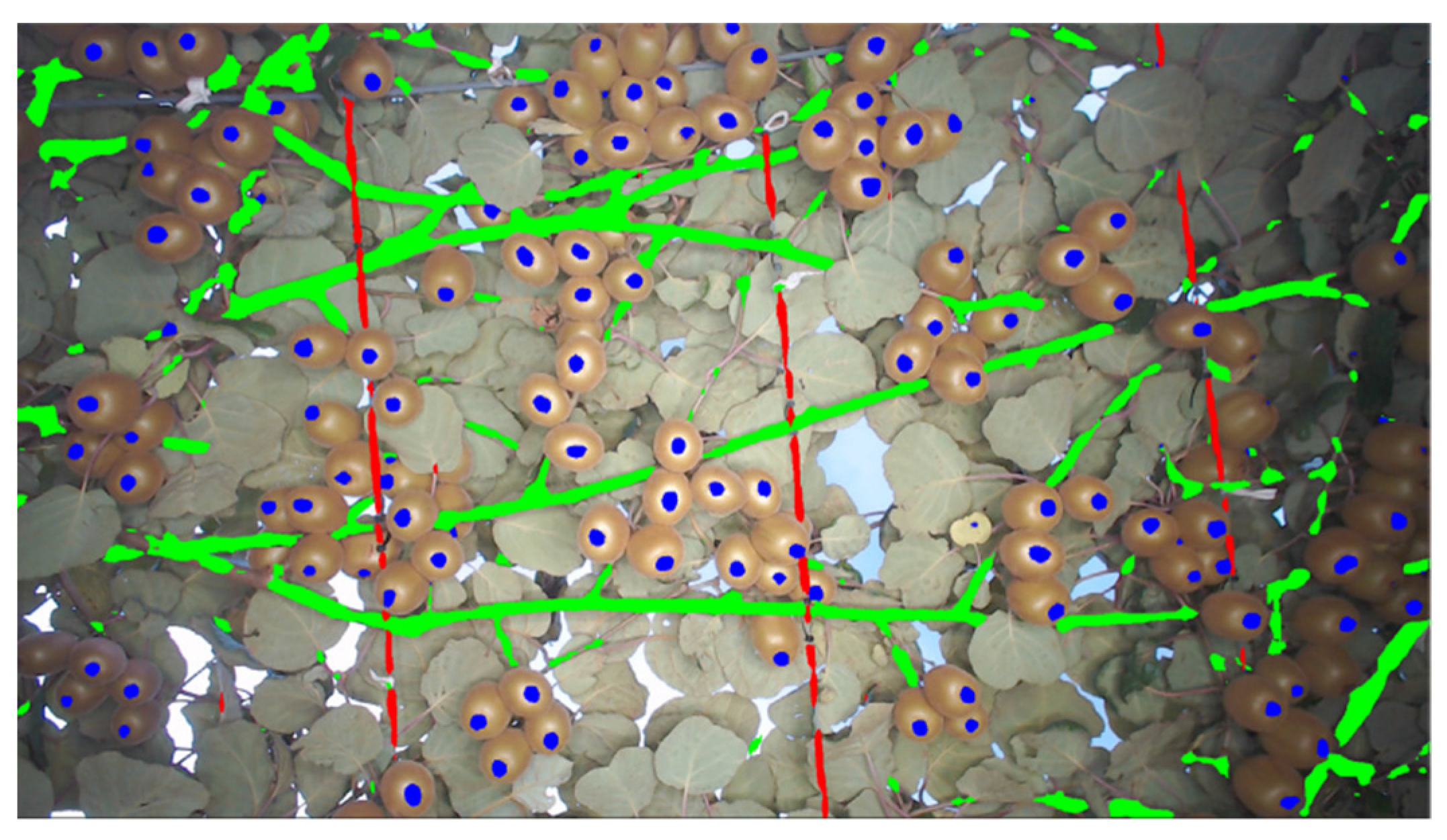 Agronomy 12 01336 g007