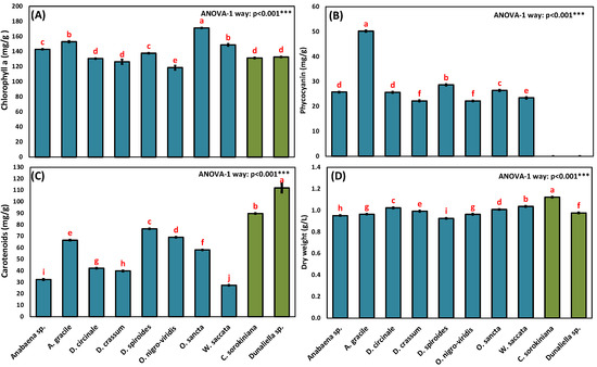Agronomy 12 01340 g001