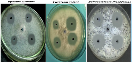 Agronomy 12 01340 g007