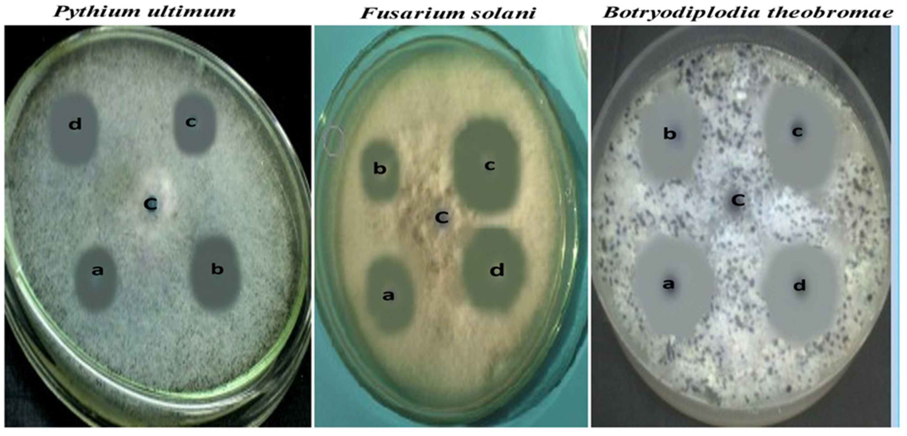Agronomy 12 01340 g007 Agronomy 12 01340 g007