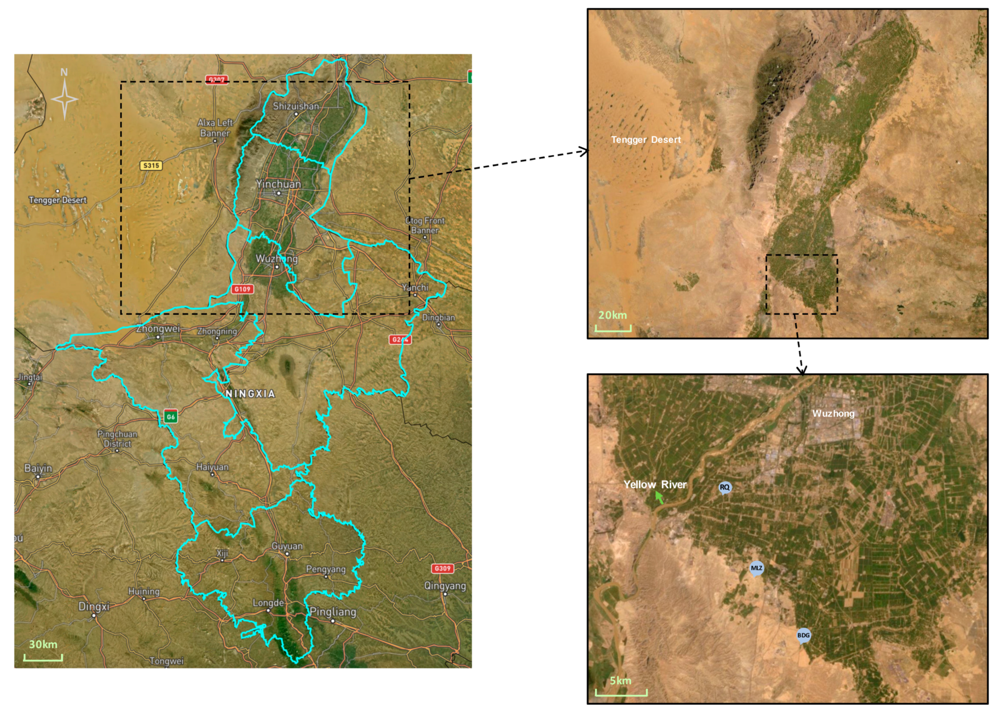 Agronomy 12 01341 g001