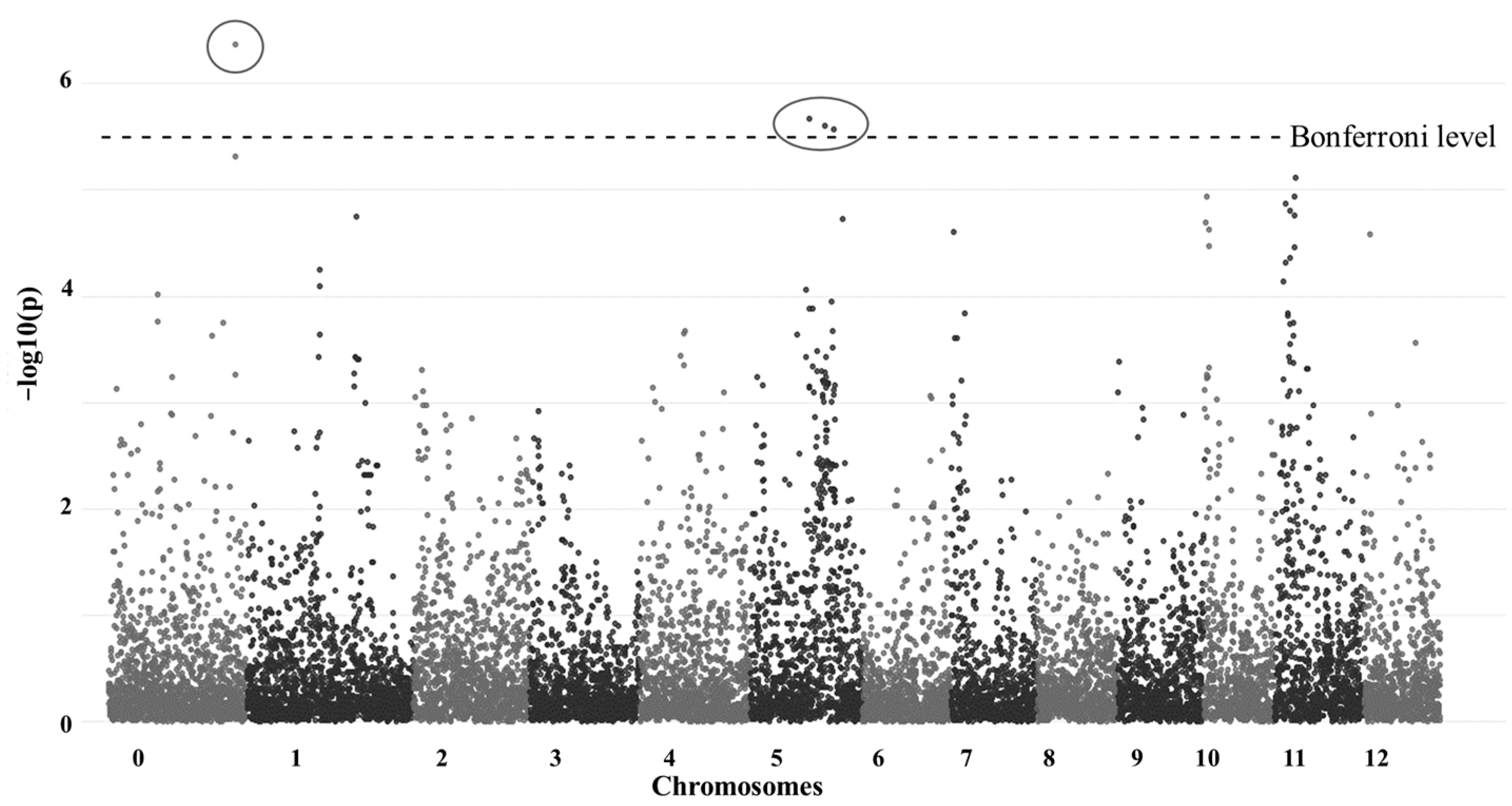 Agronomy 12 01343 g006