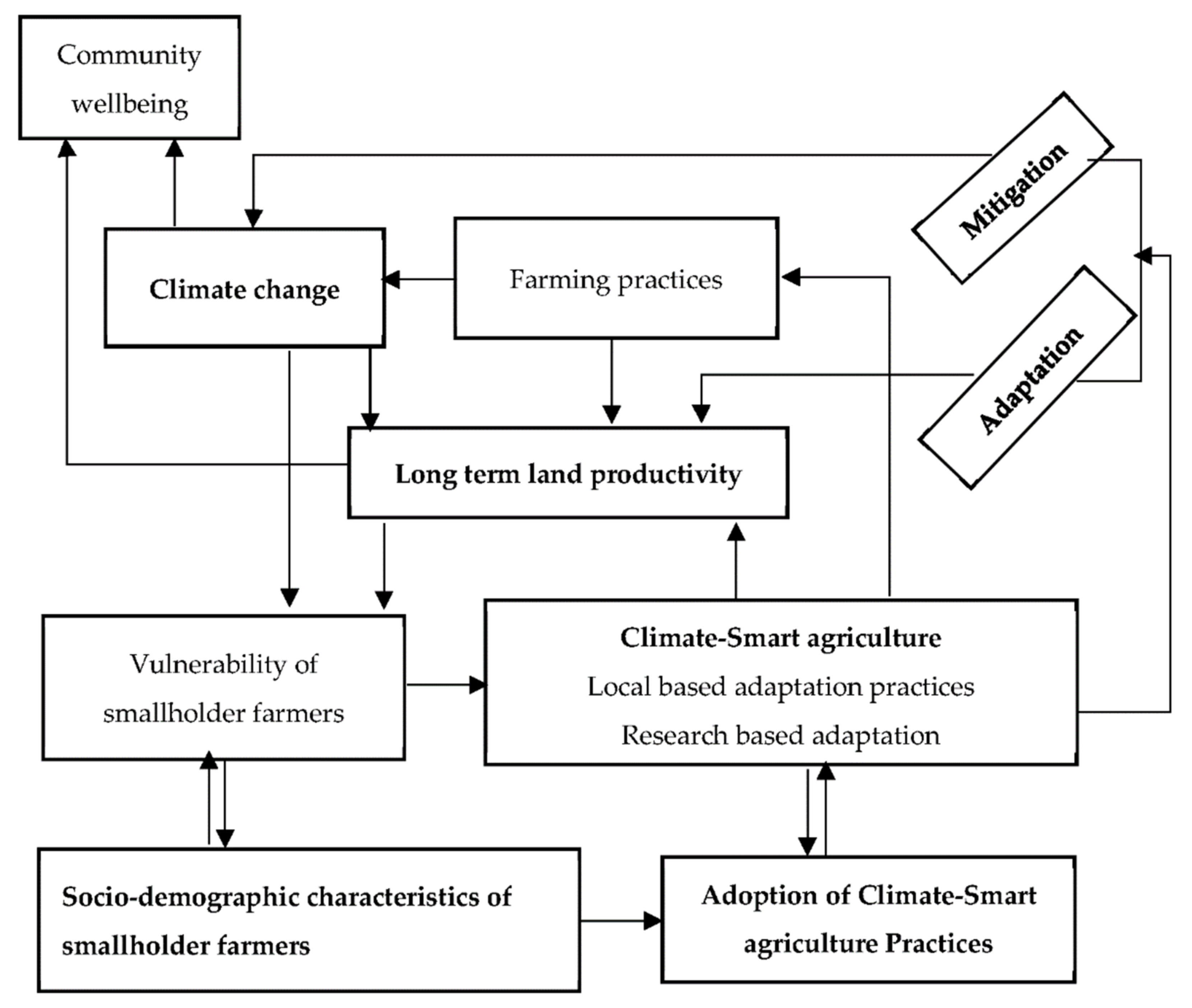 Agronomy 12 01348 g001