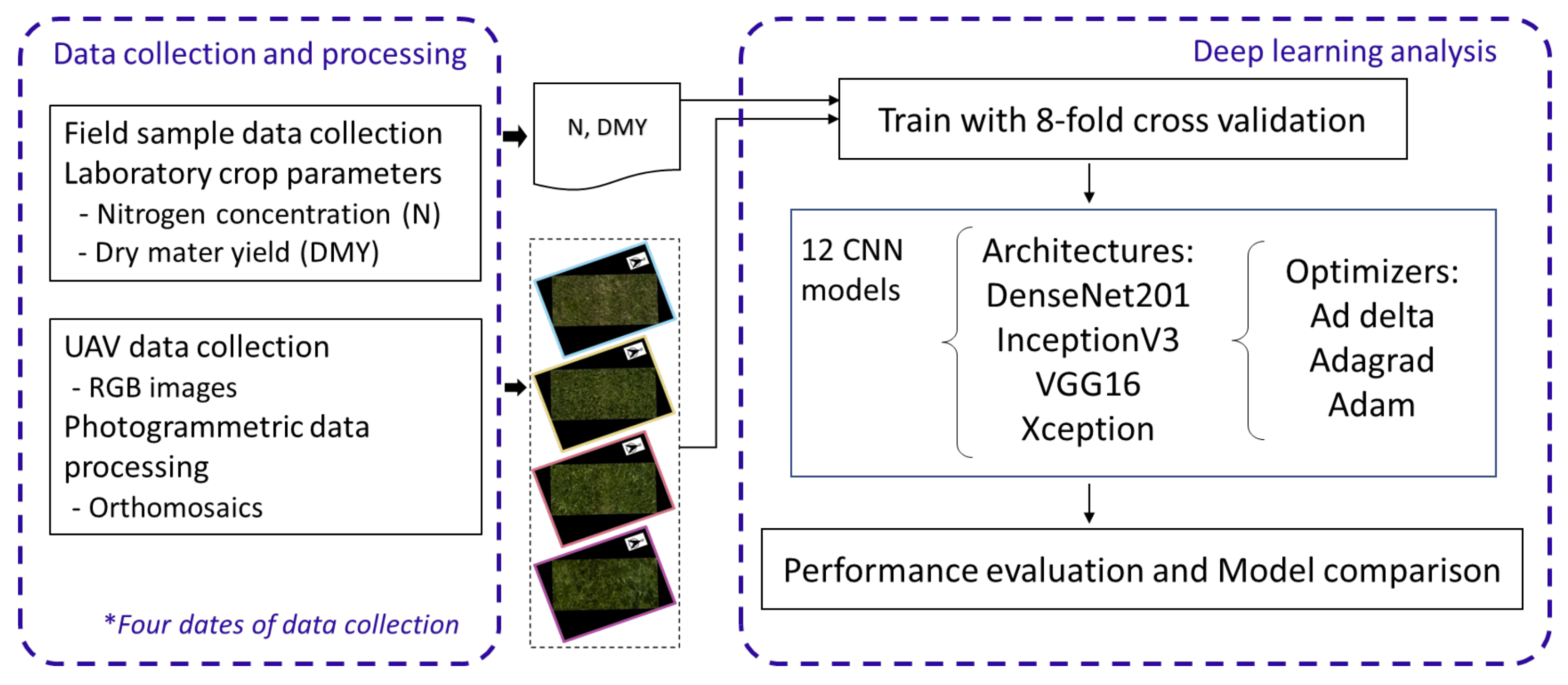 Agronomy 12 01352 g001