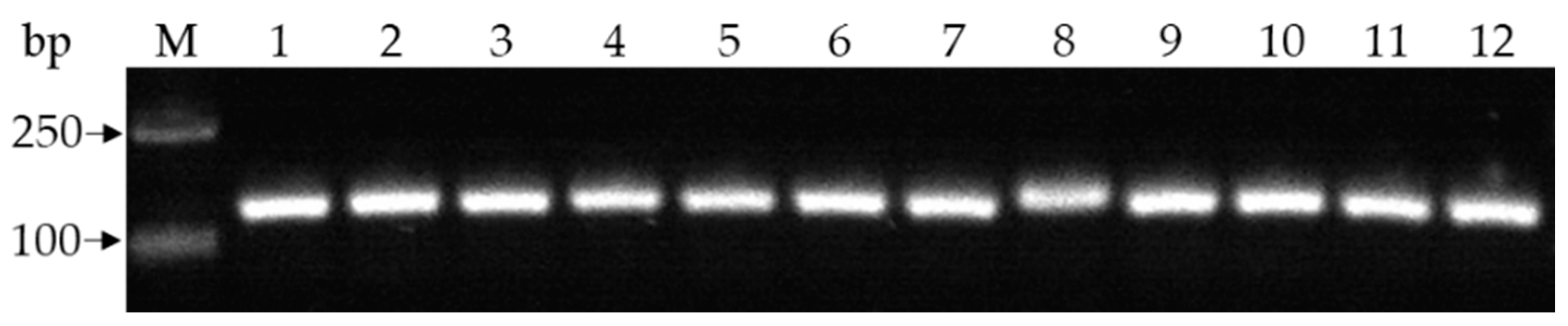 Agronomy 12 01354 g002