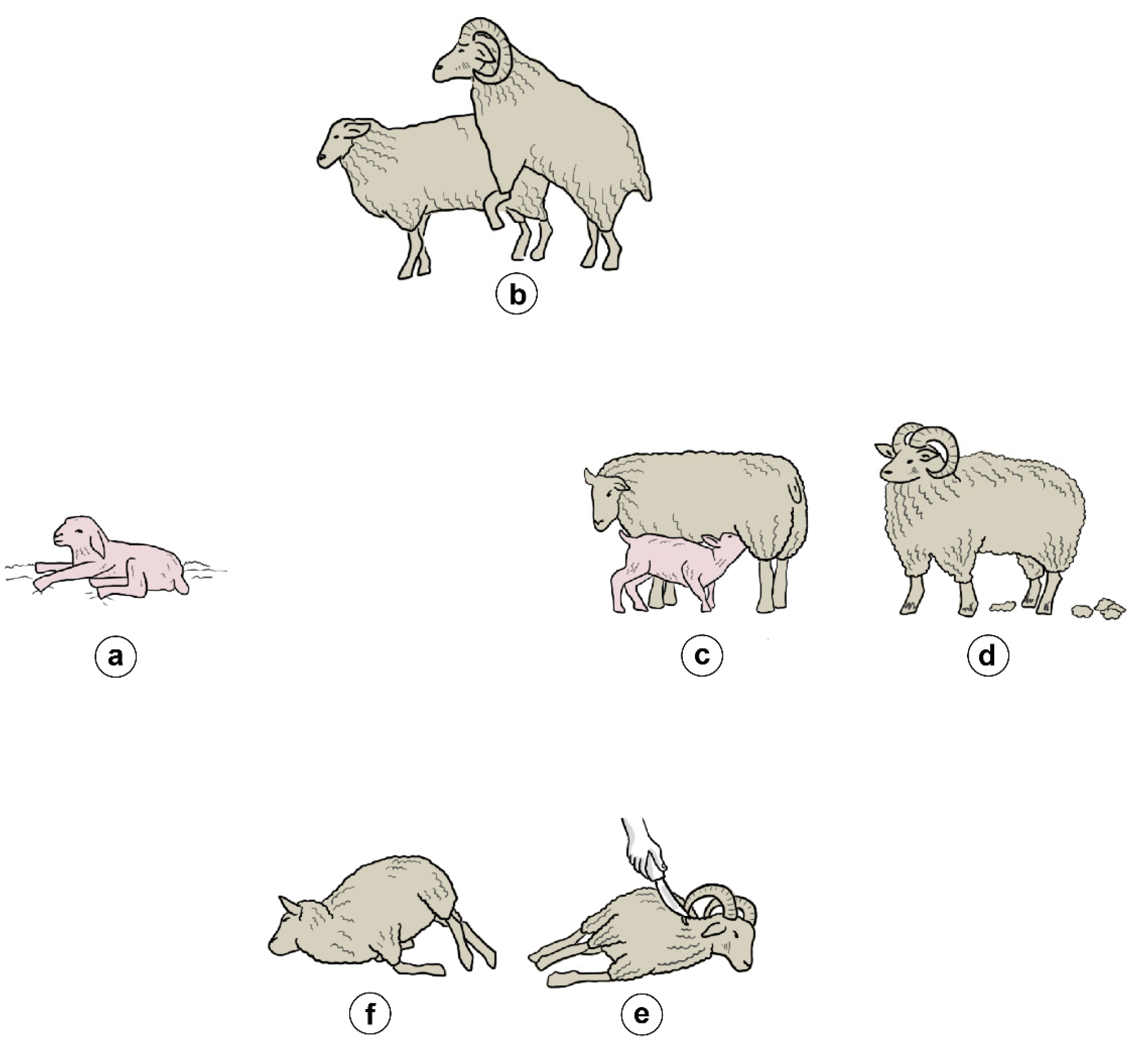 Agronomy 12 01368 g003