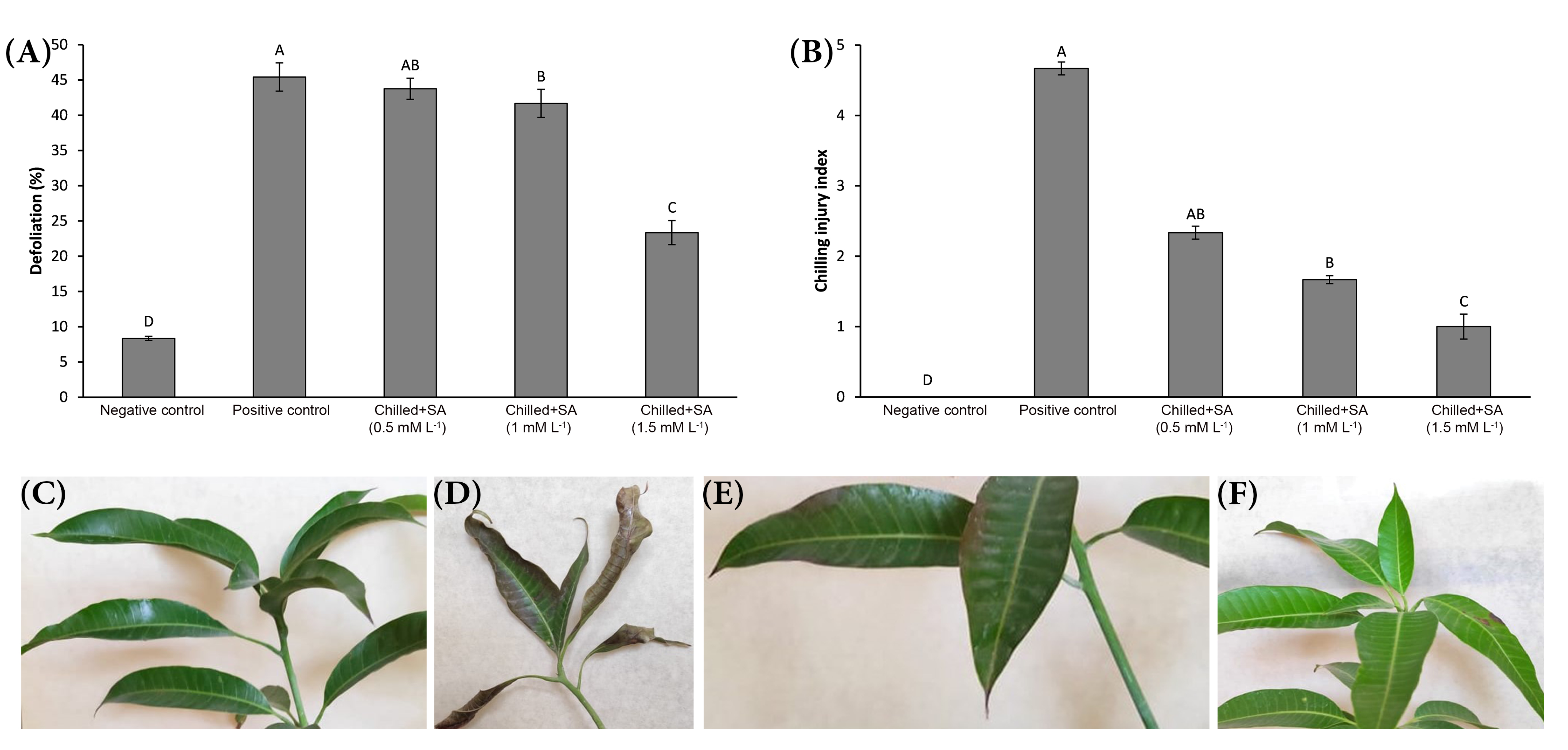 Agronomy 12 01369 g002