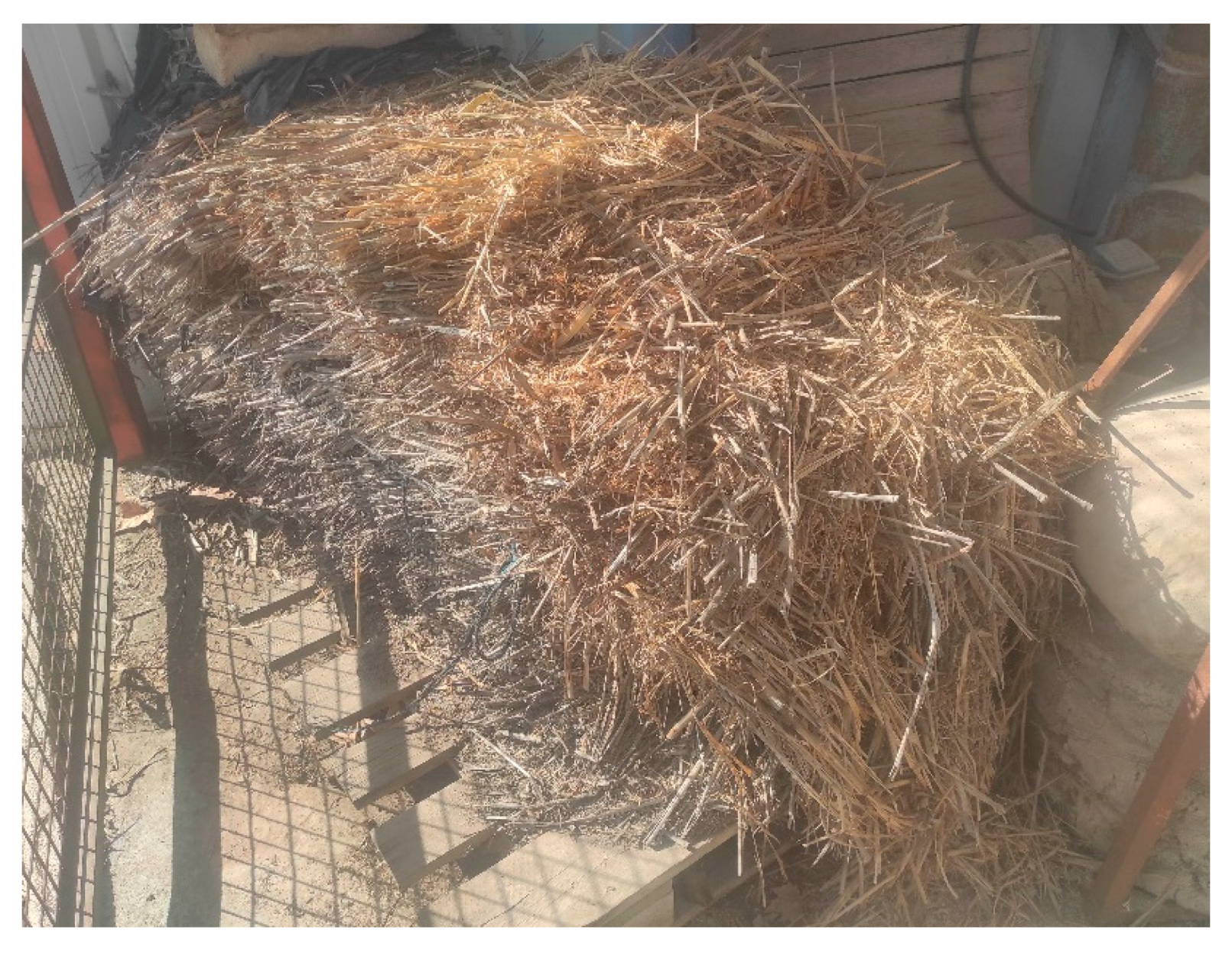 Agronomy 12 01387 g001