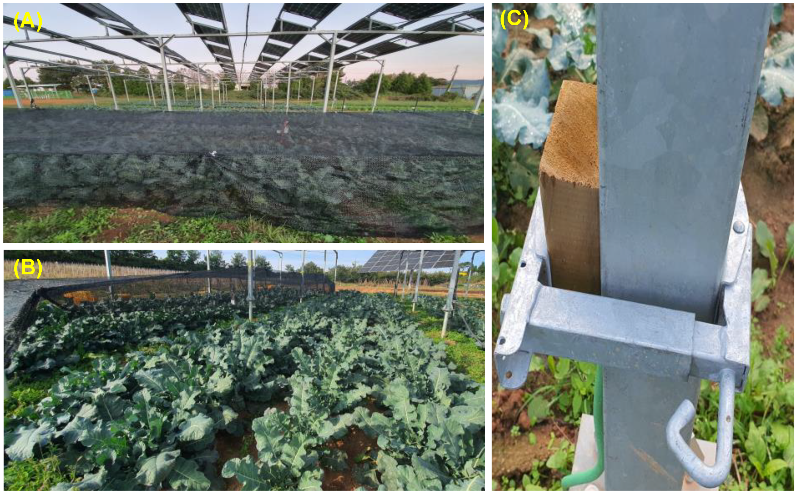 Agronomy 12 01415 g002