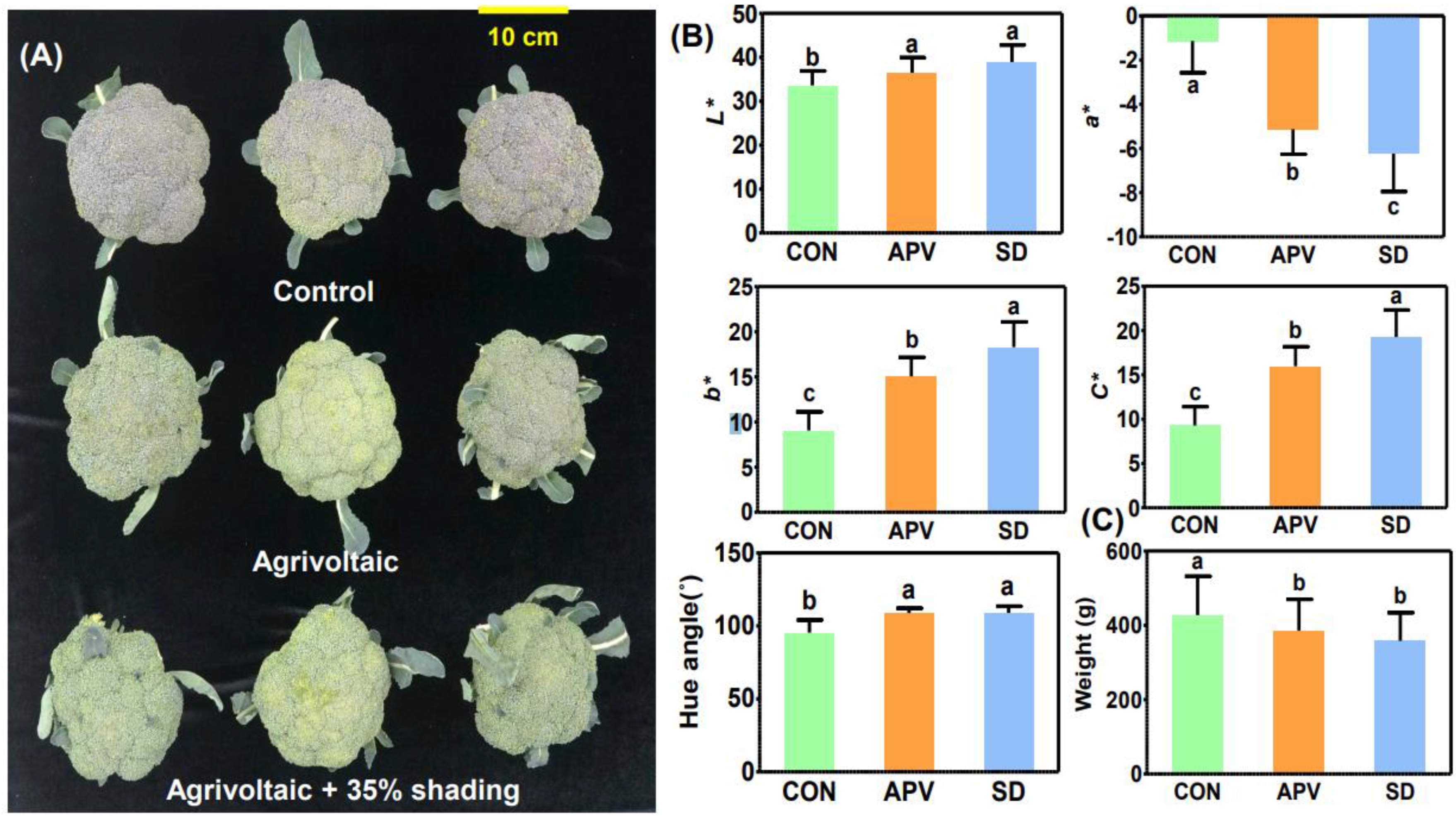 Agronomy 12 01415 g008