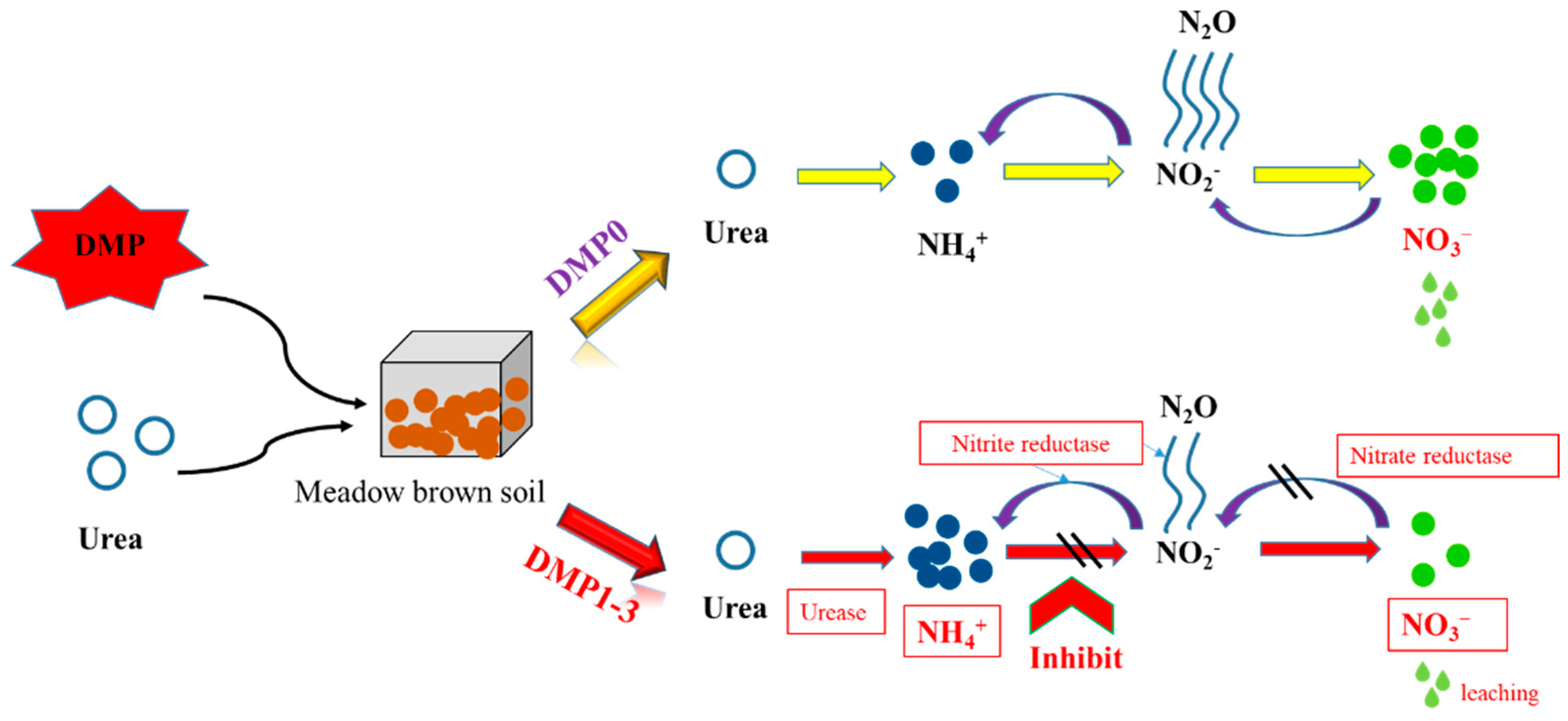 Agronomy 12 01425 g009