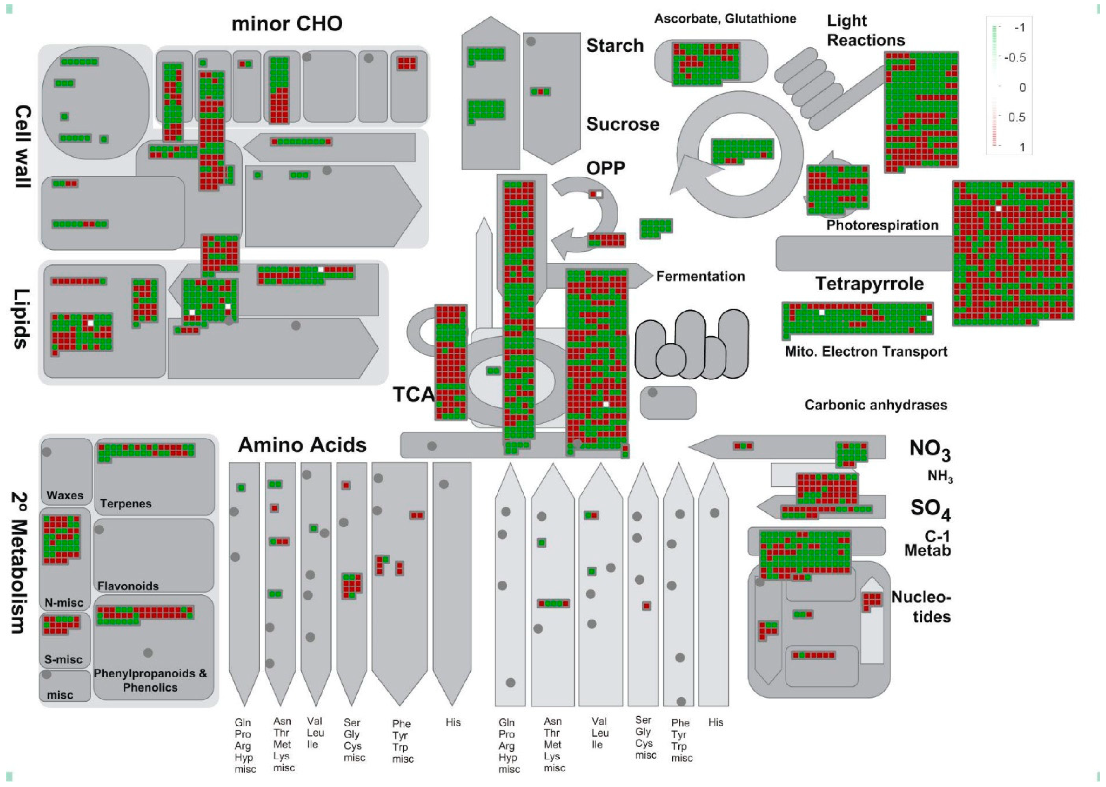Agronomy 12 01434 g010