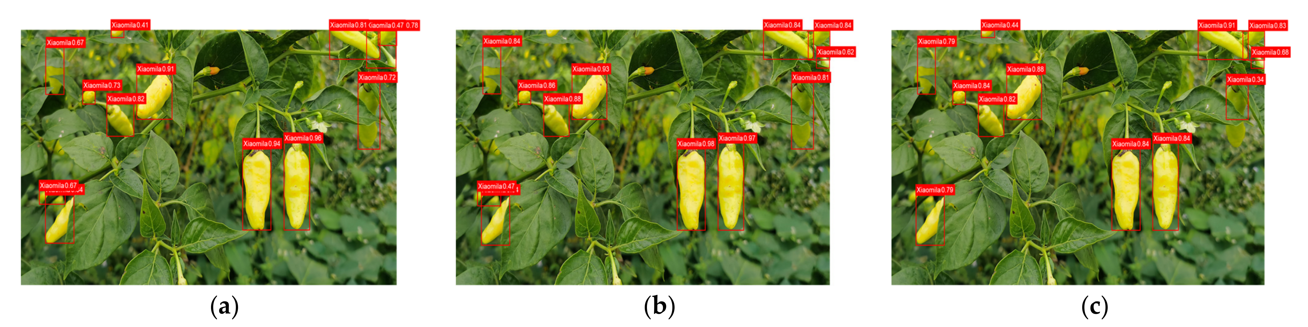 Agronomy 12 01477 g011