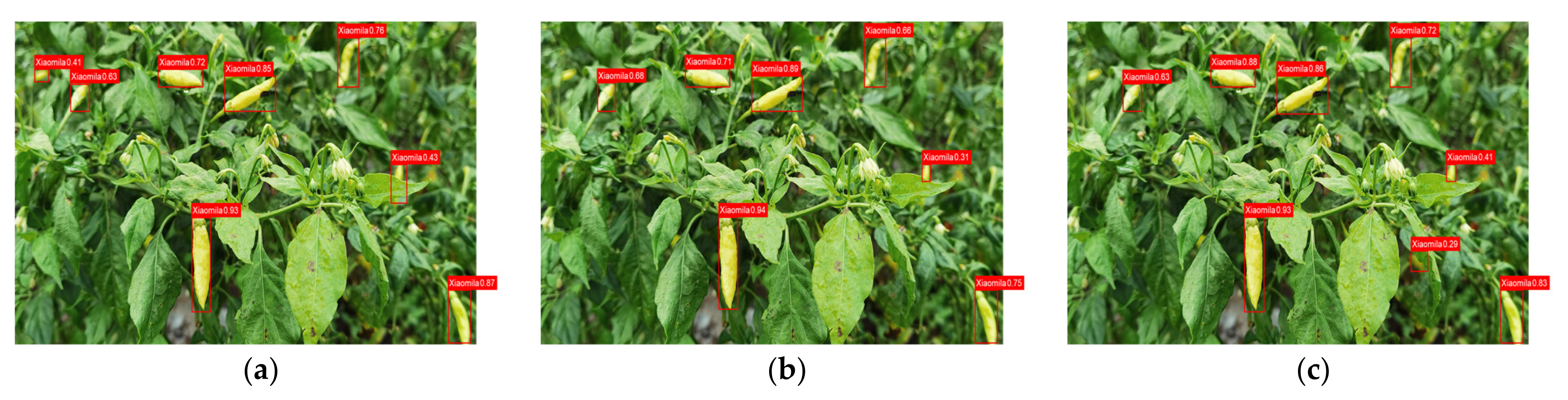Agronomy 12 01477 g014