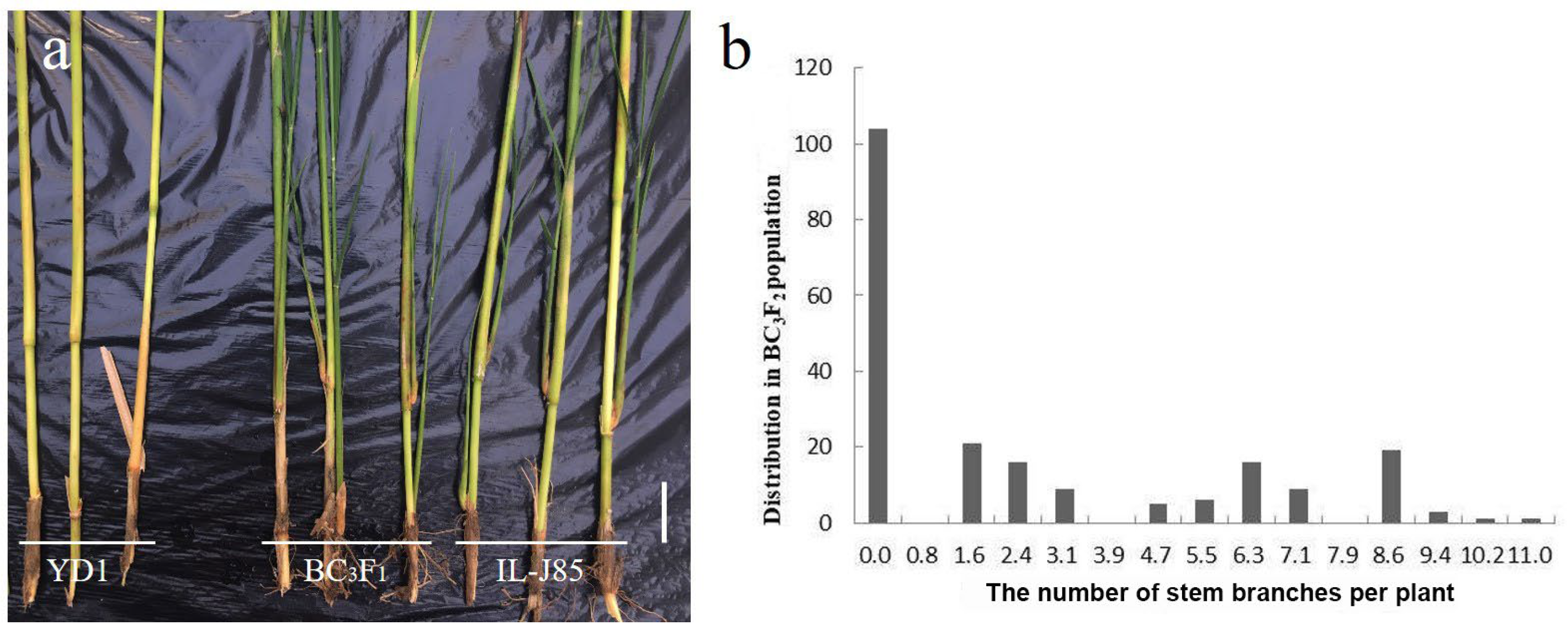 Agronomy 12 01503 g002