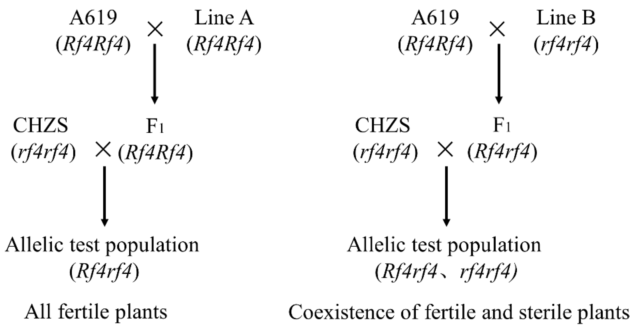 Agronomy 12 01506 g001