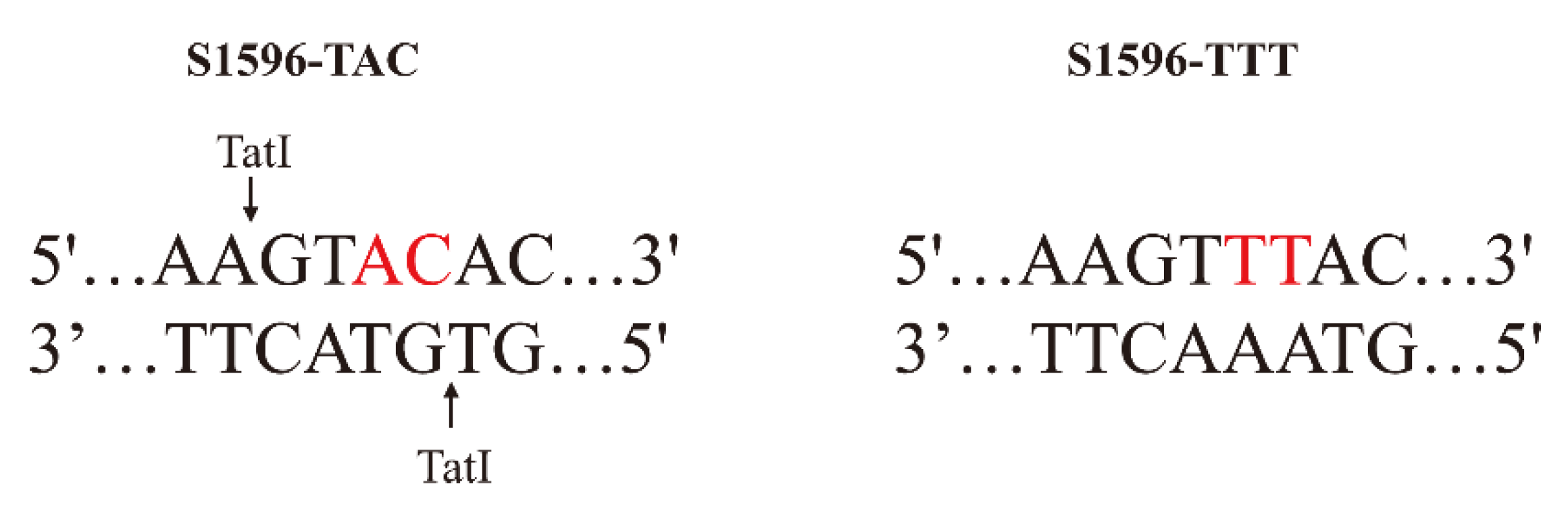 Agronomy 12 01506 g004