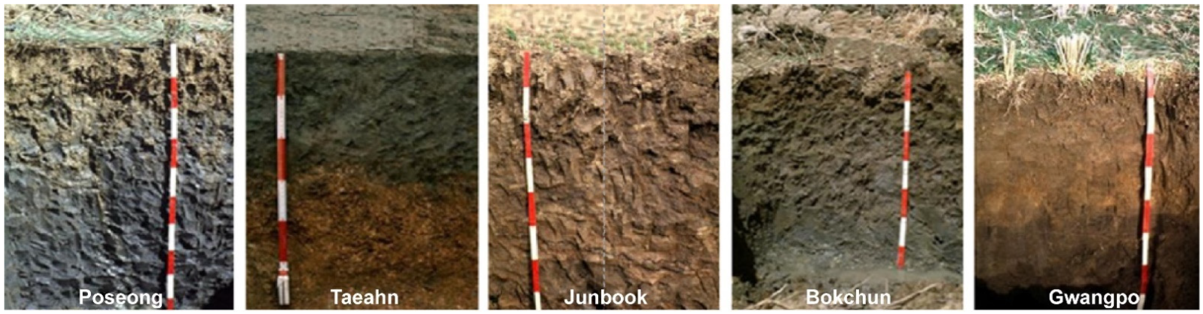 Agronomy 12 01507 g001