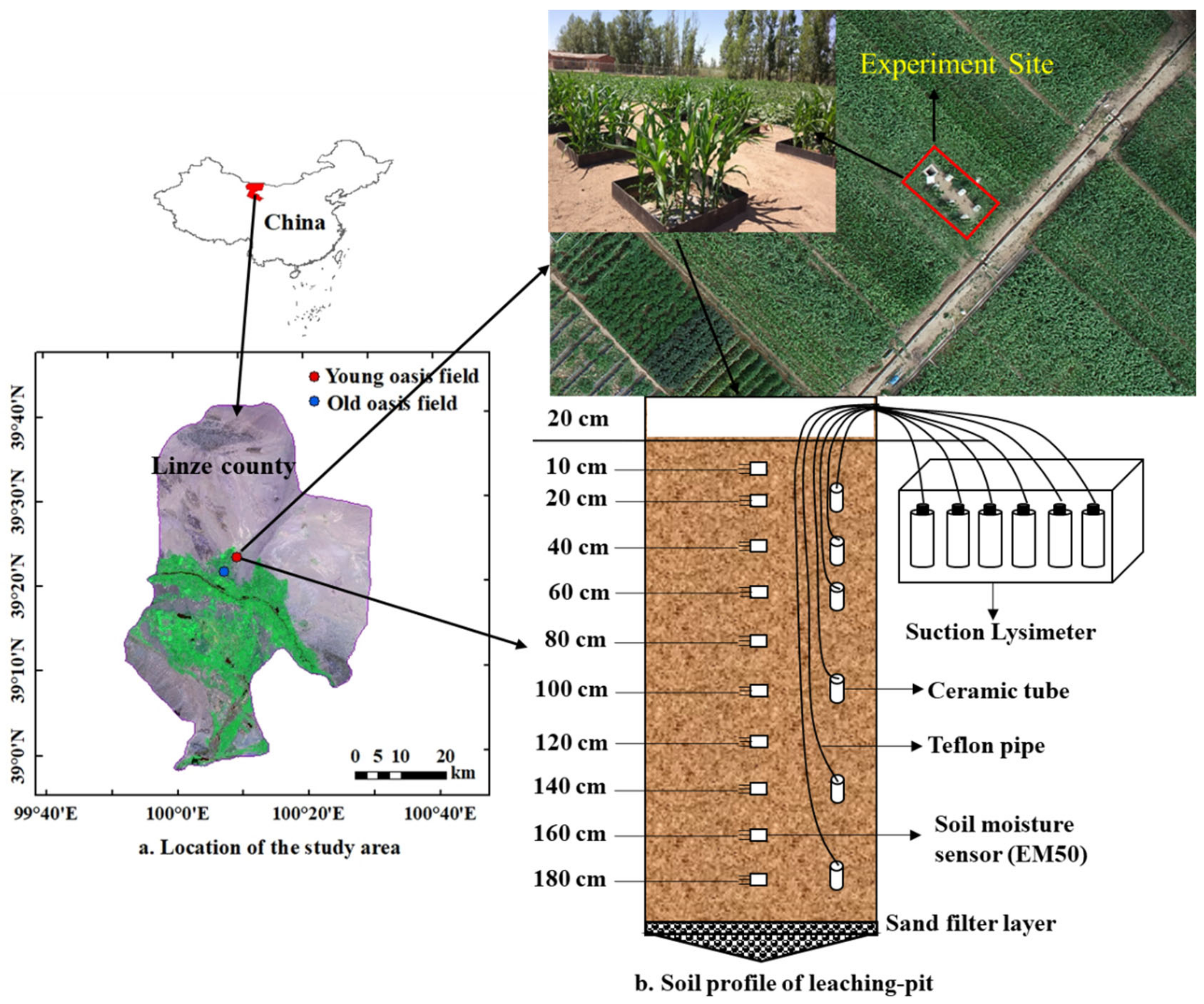 Agronomy 12 01509 g001