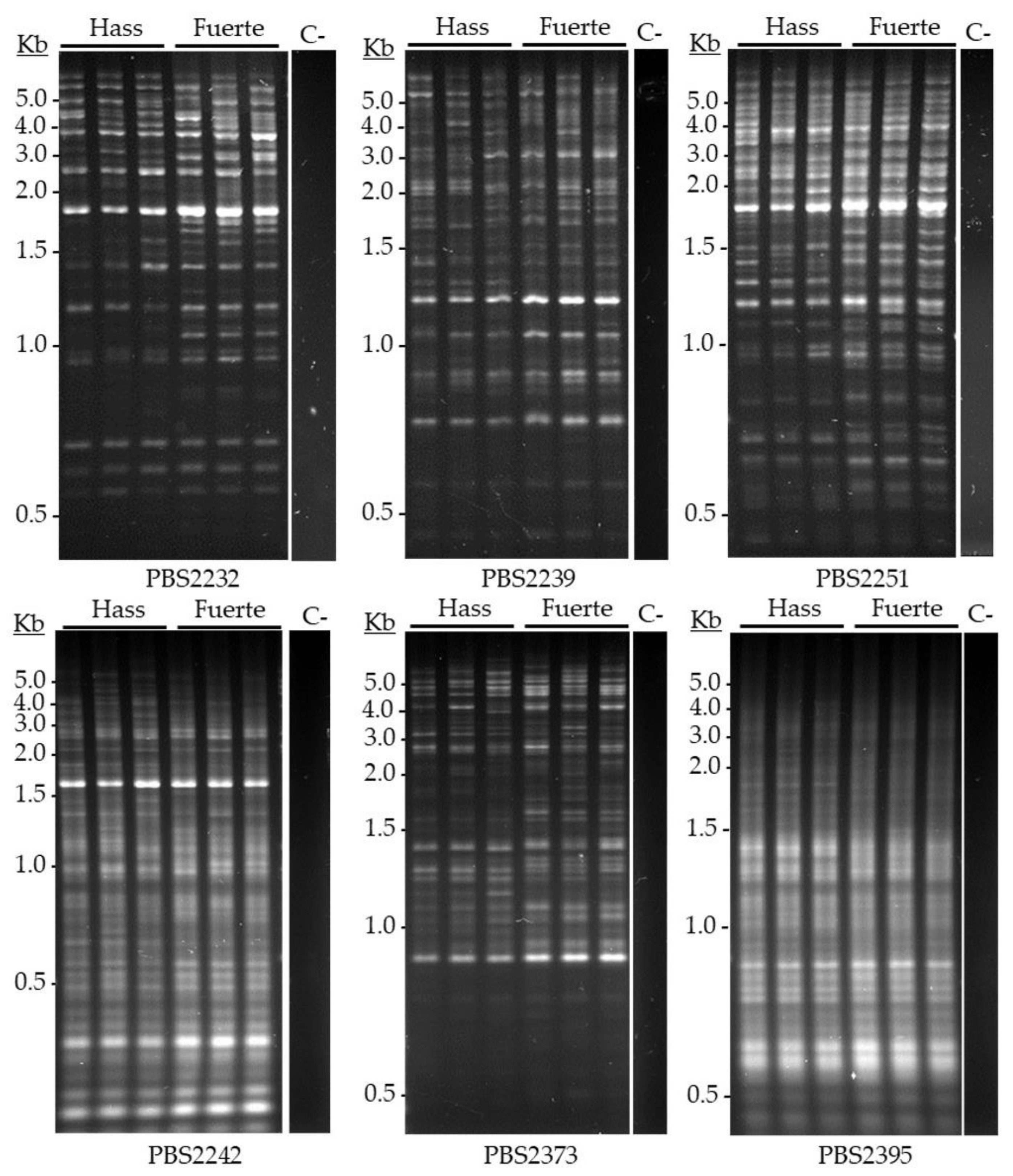 Agronomy 12 01510 g002 Agronomy 12 01510 g002