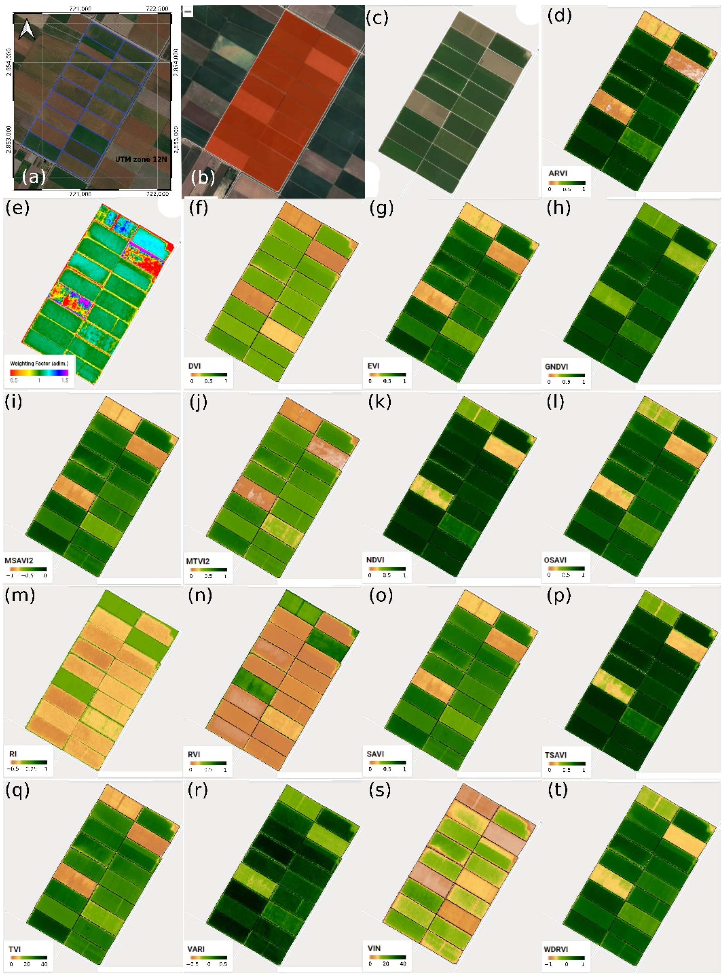 Agronomy 12 01518 g005
