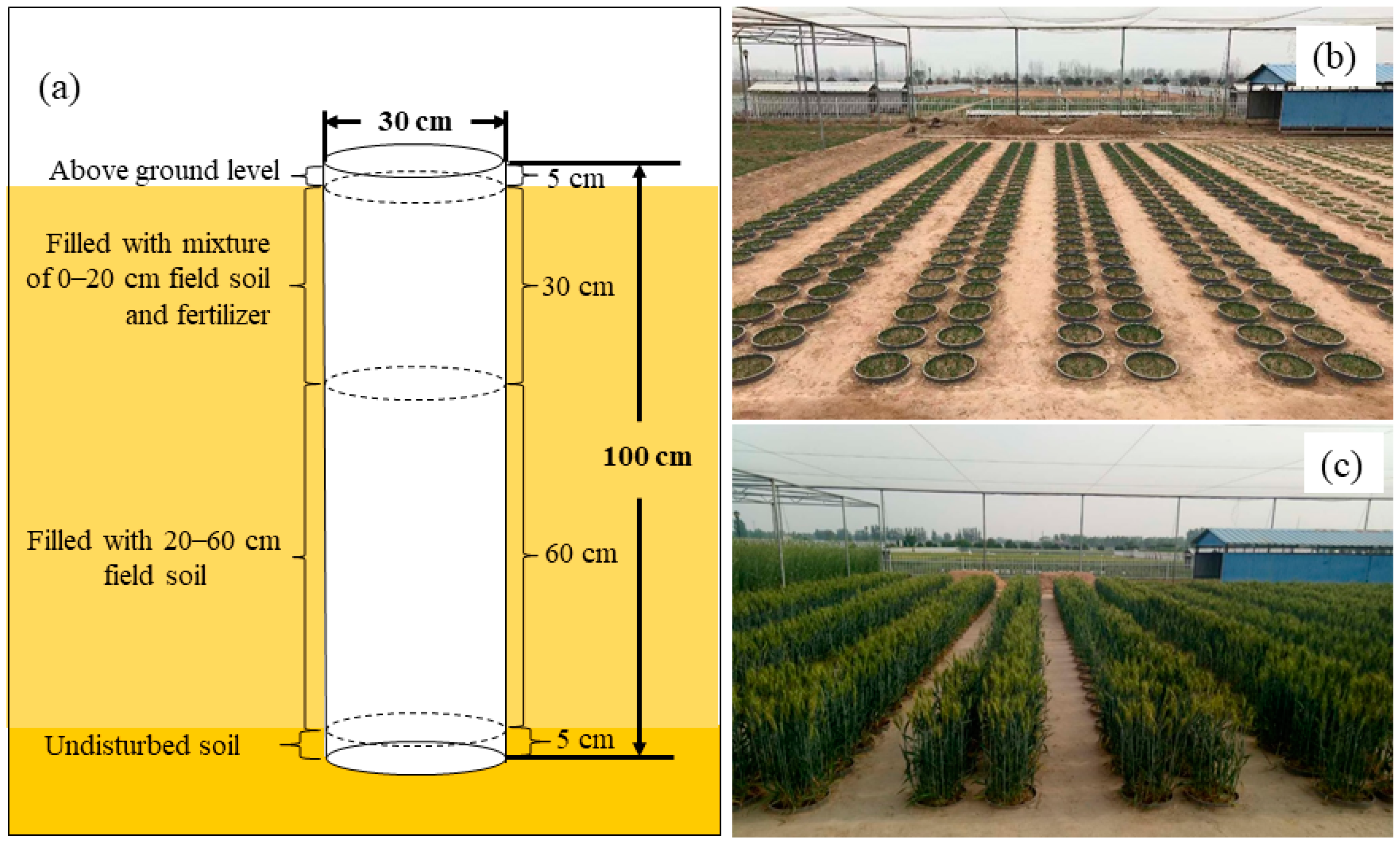 Agronomy 12 01526 g002