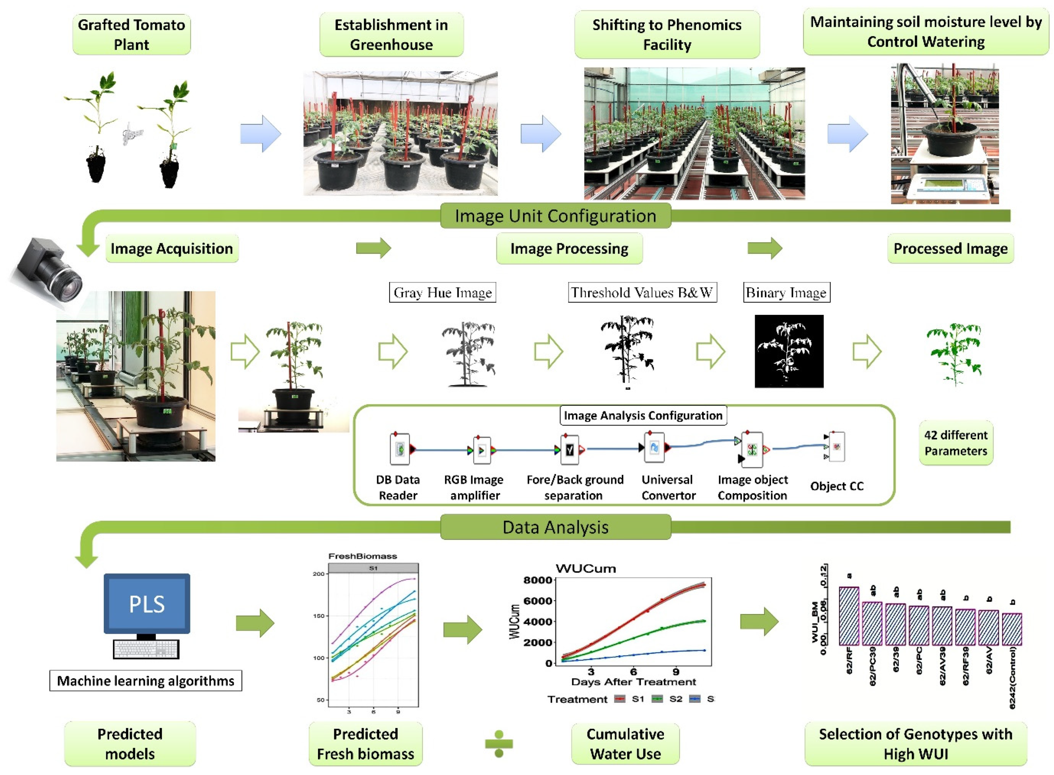 Agronomy 12 01529 g006