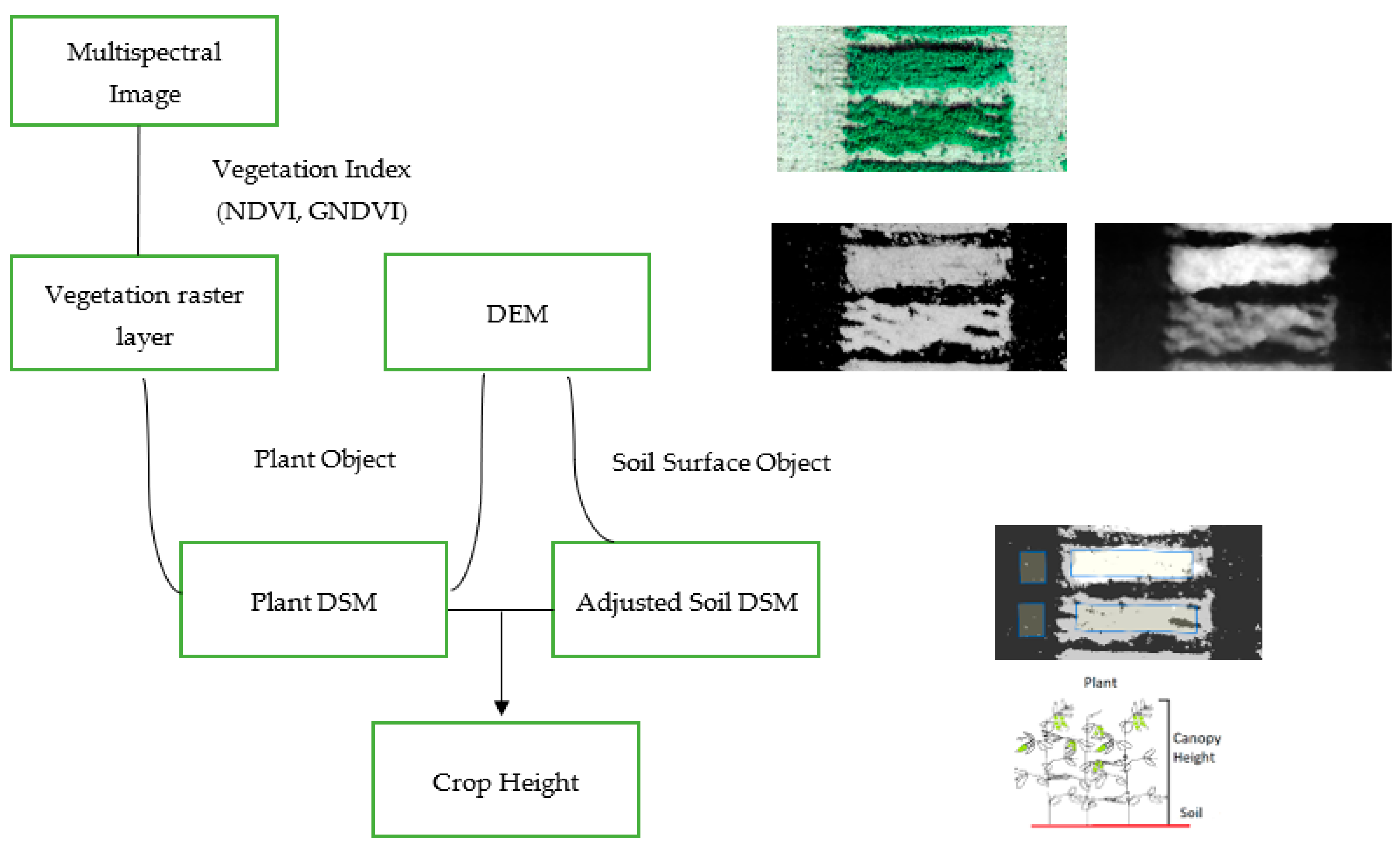 Agronomy 12 01532 g001
