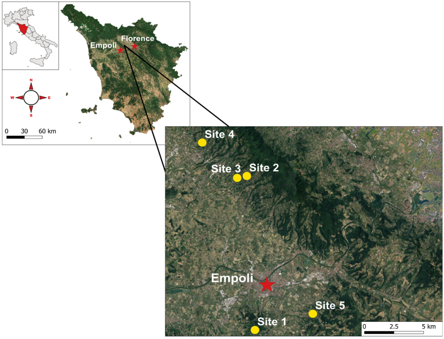 Agronomy 12 01540 g001