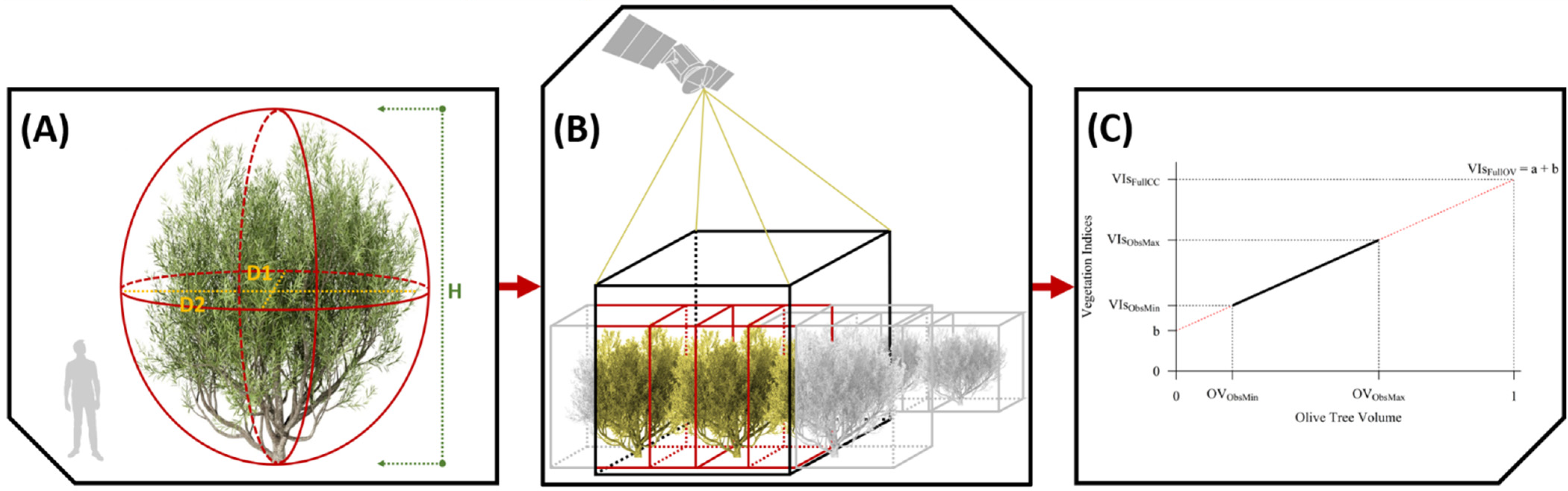 Agronomy 12 01540 g002