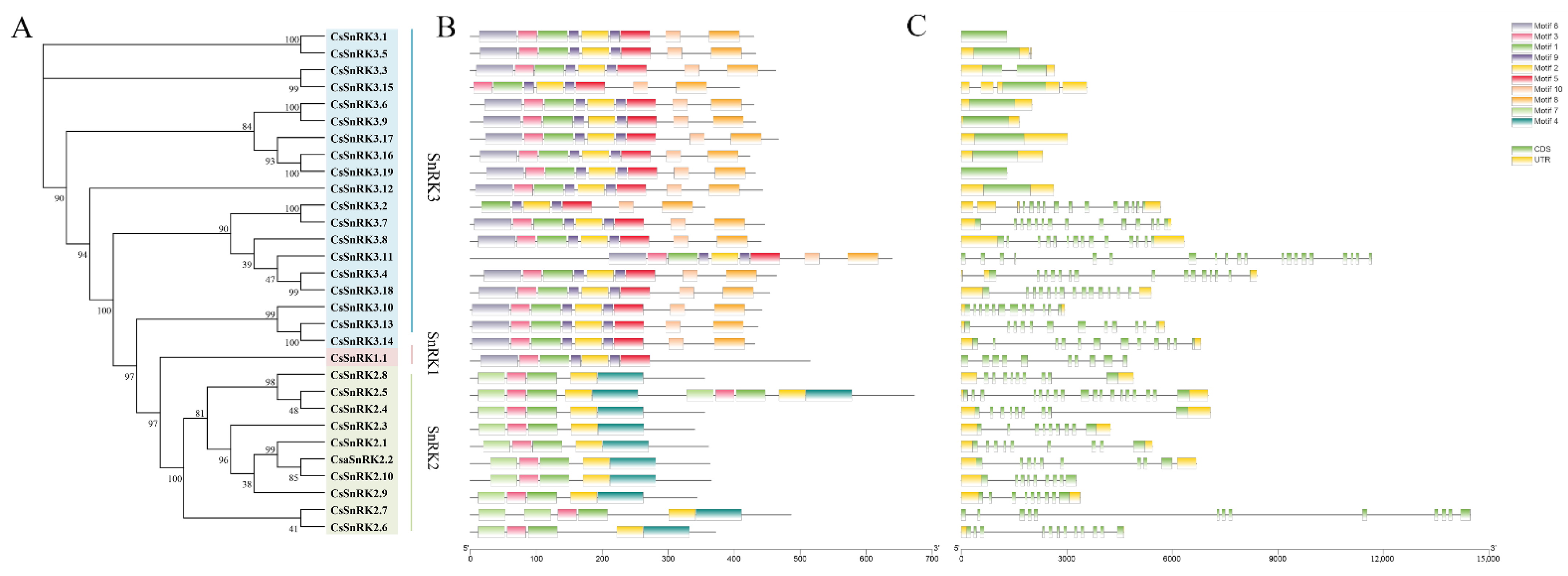 Agronomy 12 01550 g002