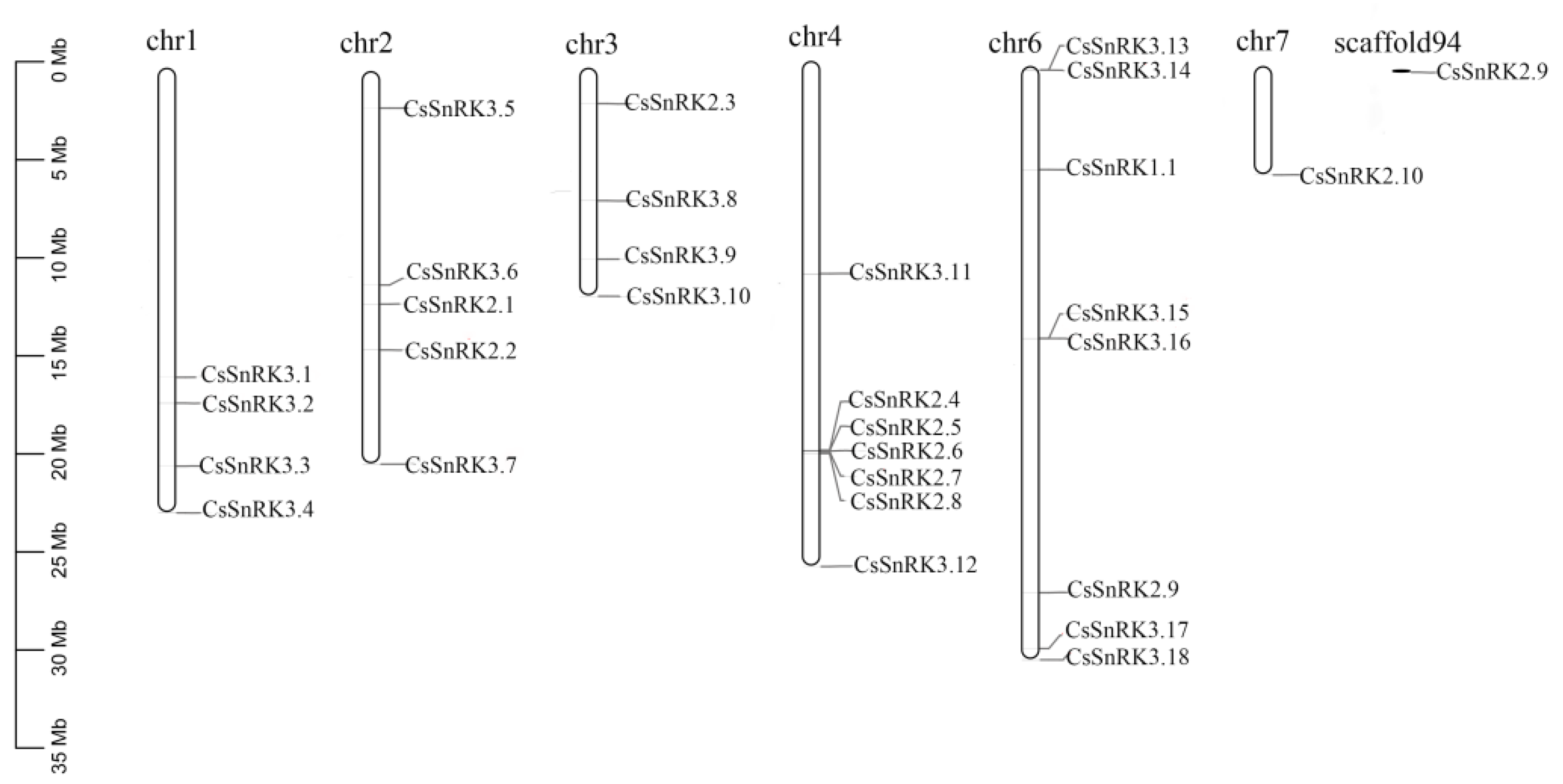 Agronomy 12 01550 g003