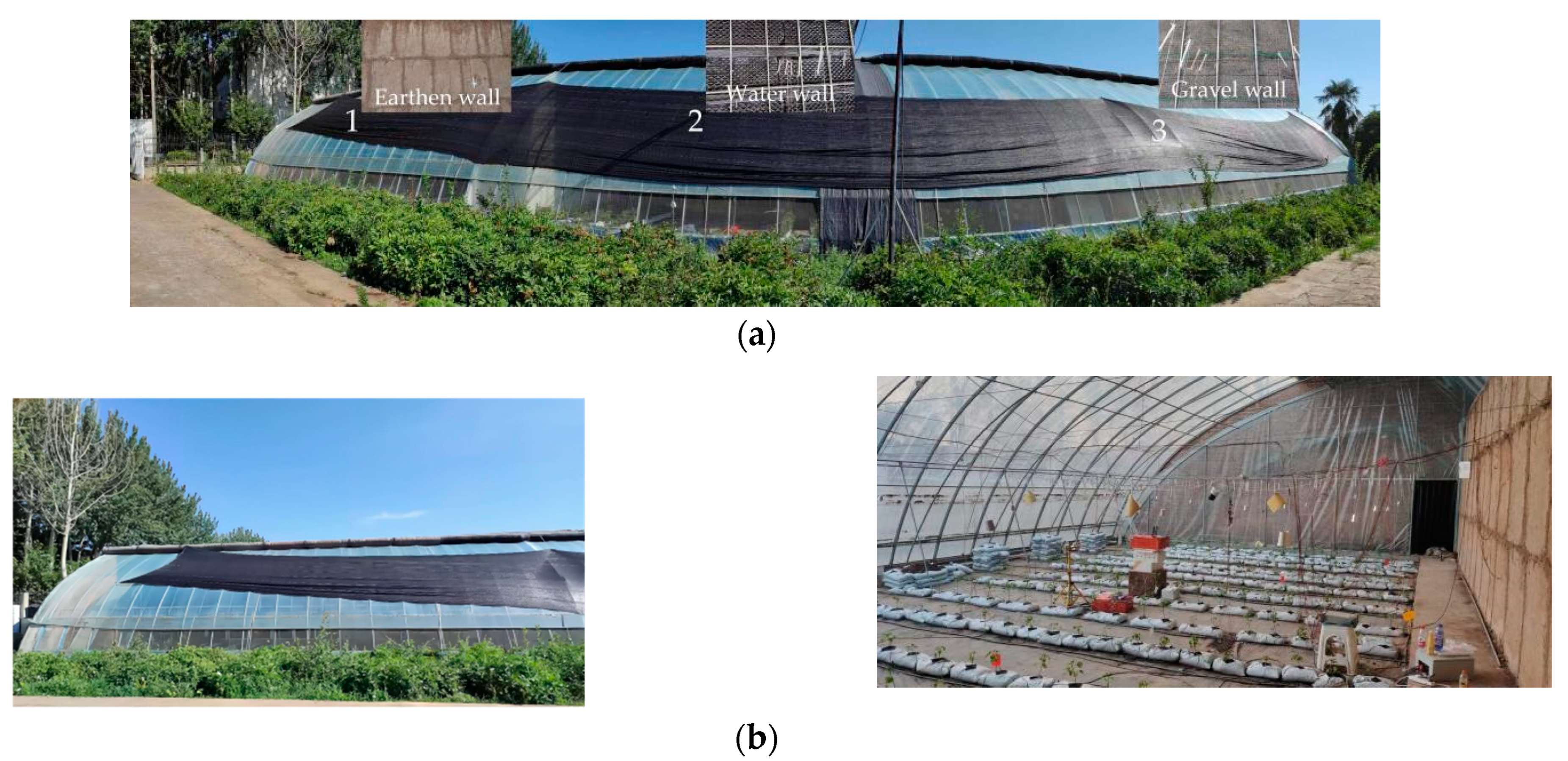 Agronomy 12 01565 g001